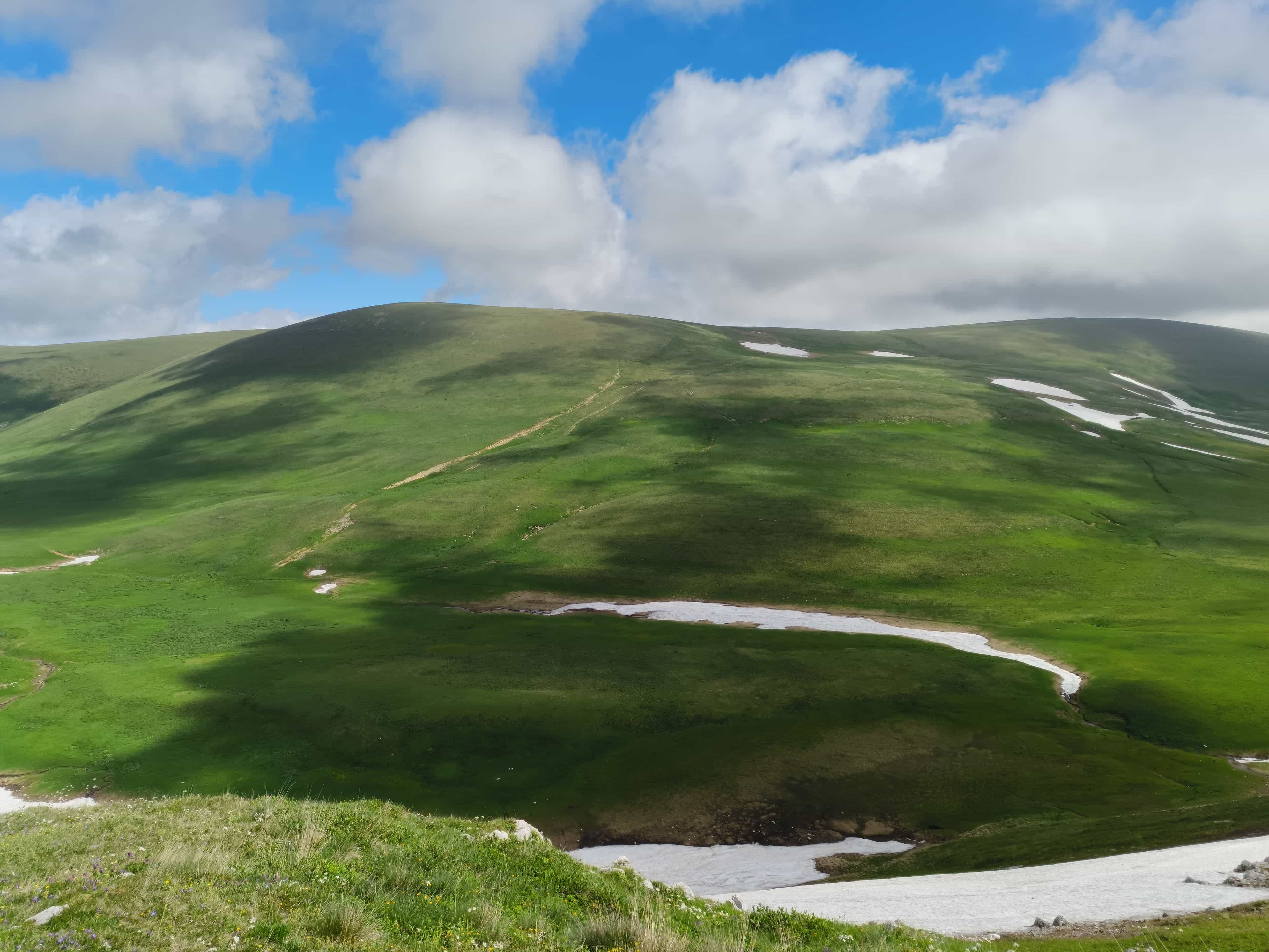 Photo from Caucasus: field 2.