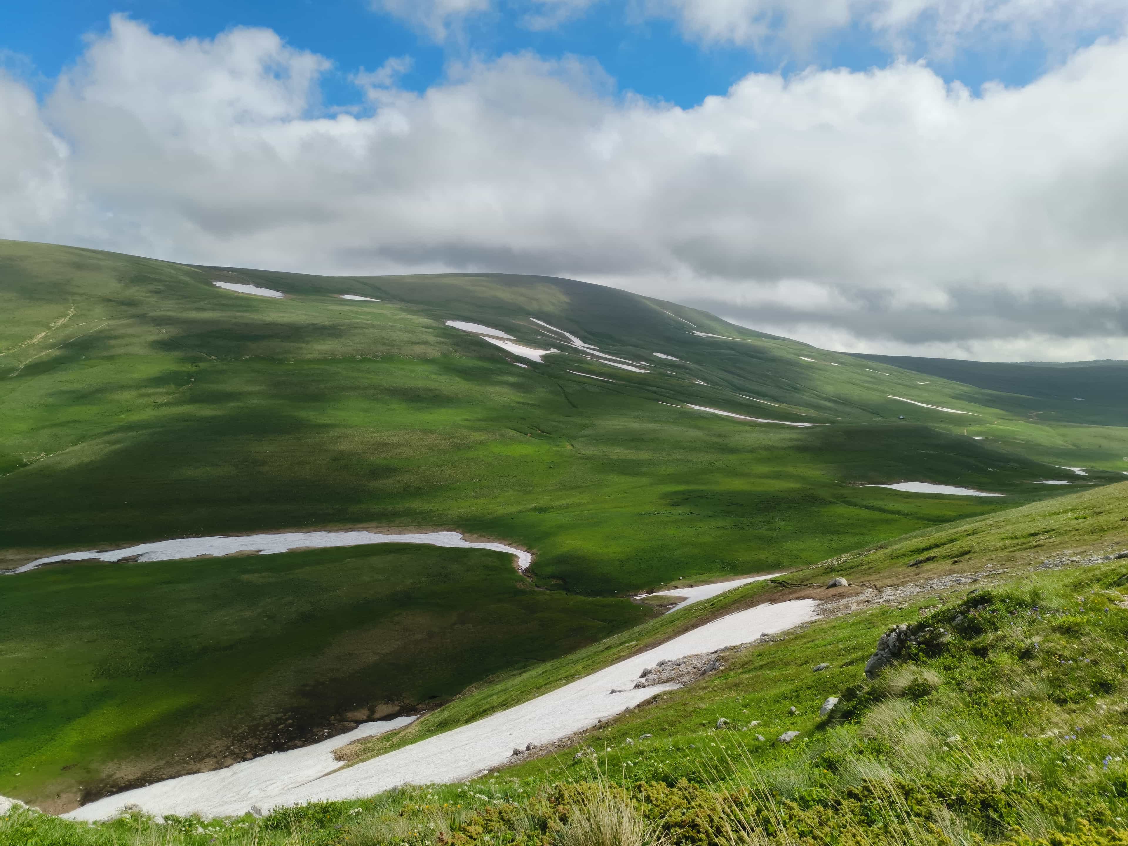 Photo from Caucasus: field 3.