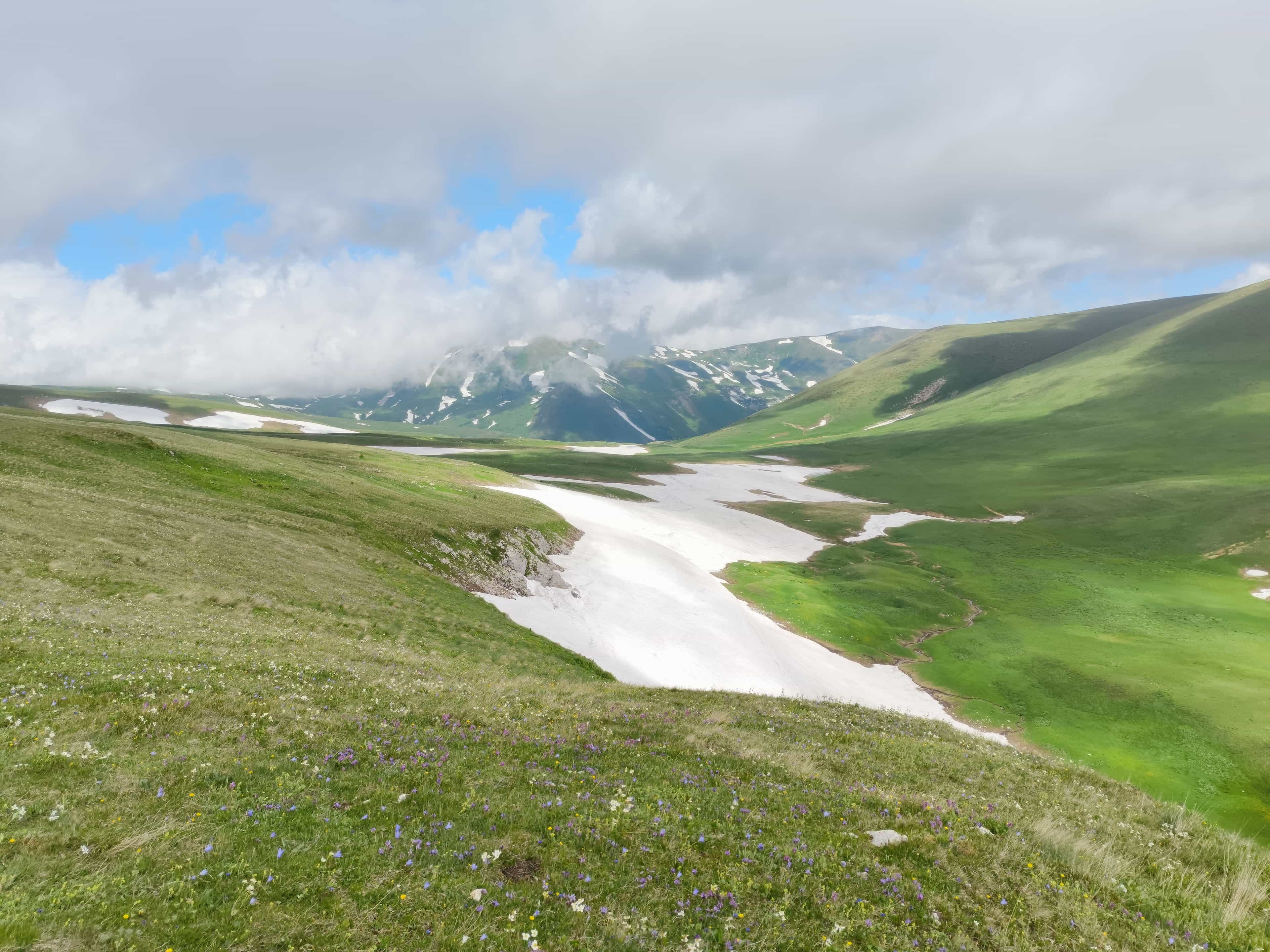 Photo from Caucasus: field 4.