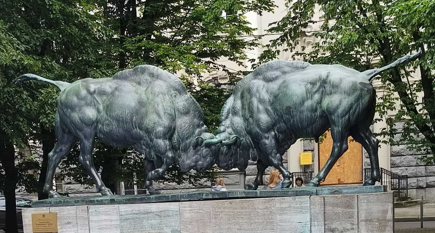 Photo from Kaliningrad: bulls.