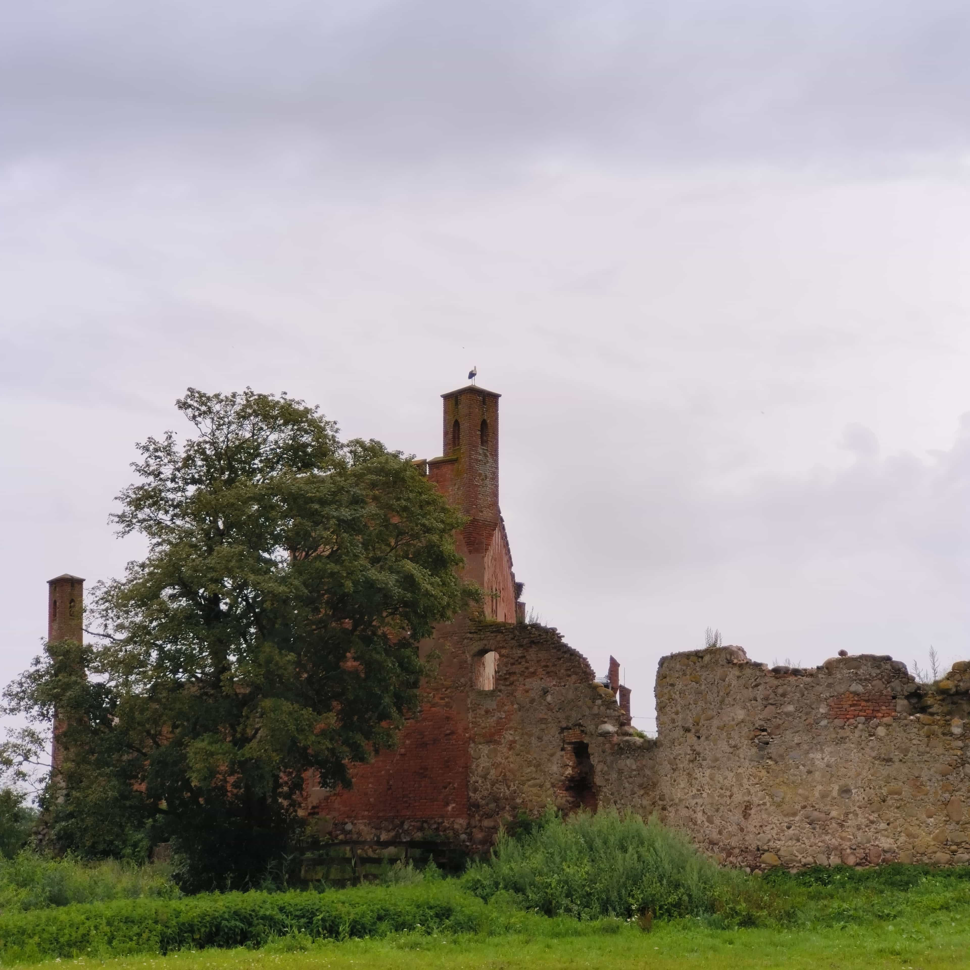 Photo from Kaliningrad: castle.