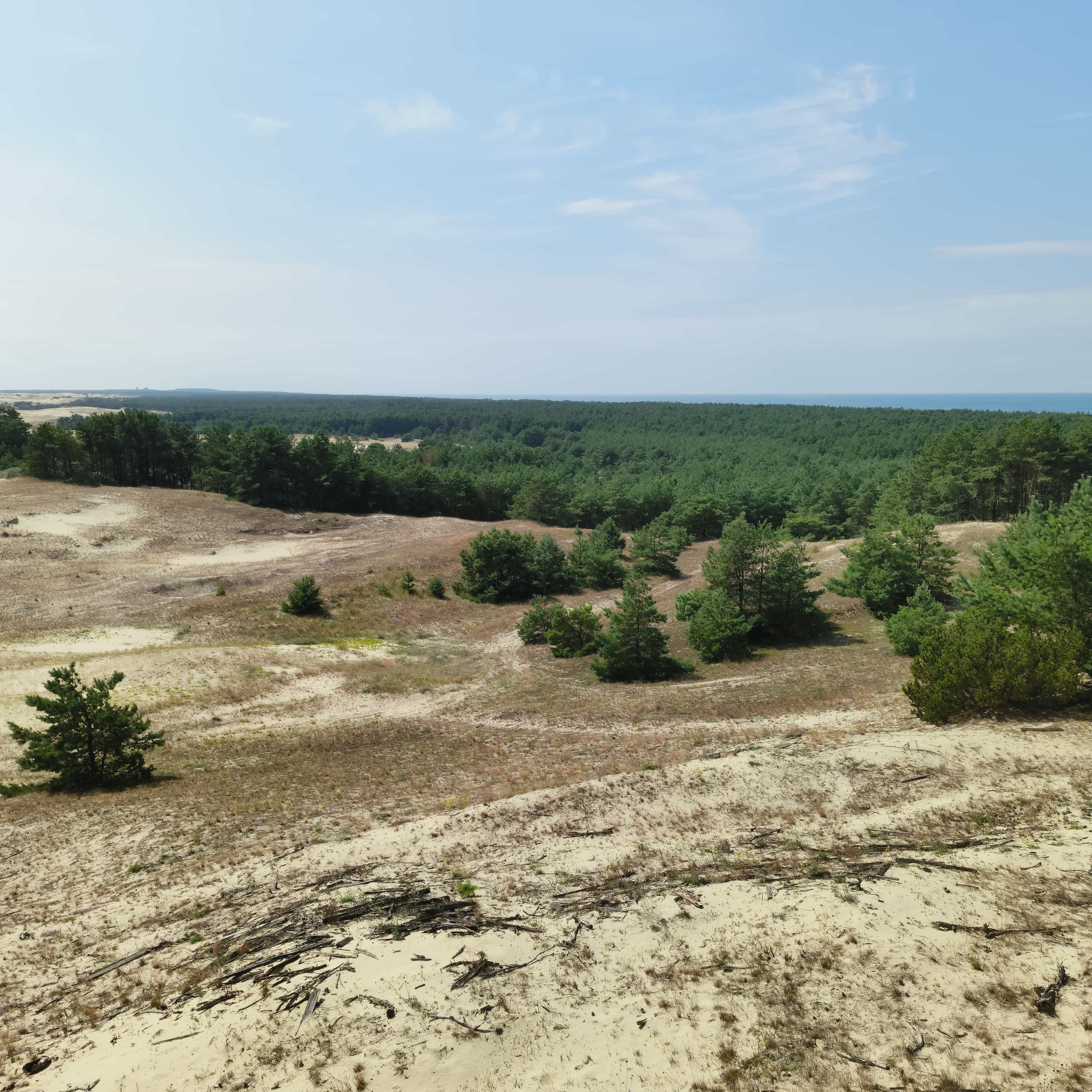 Photo from Kaliningrad: dune 2.