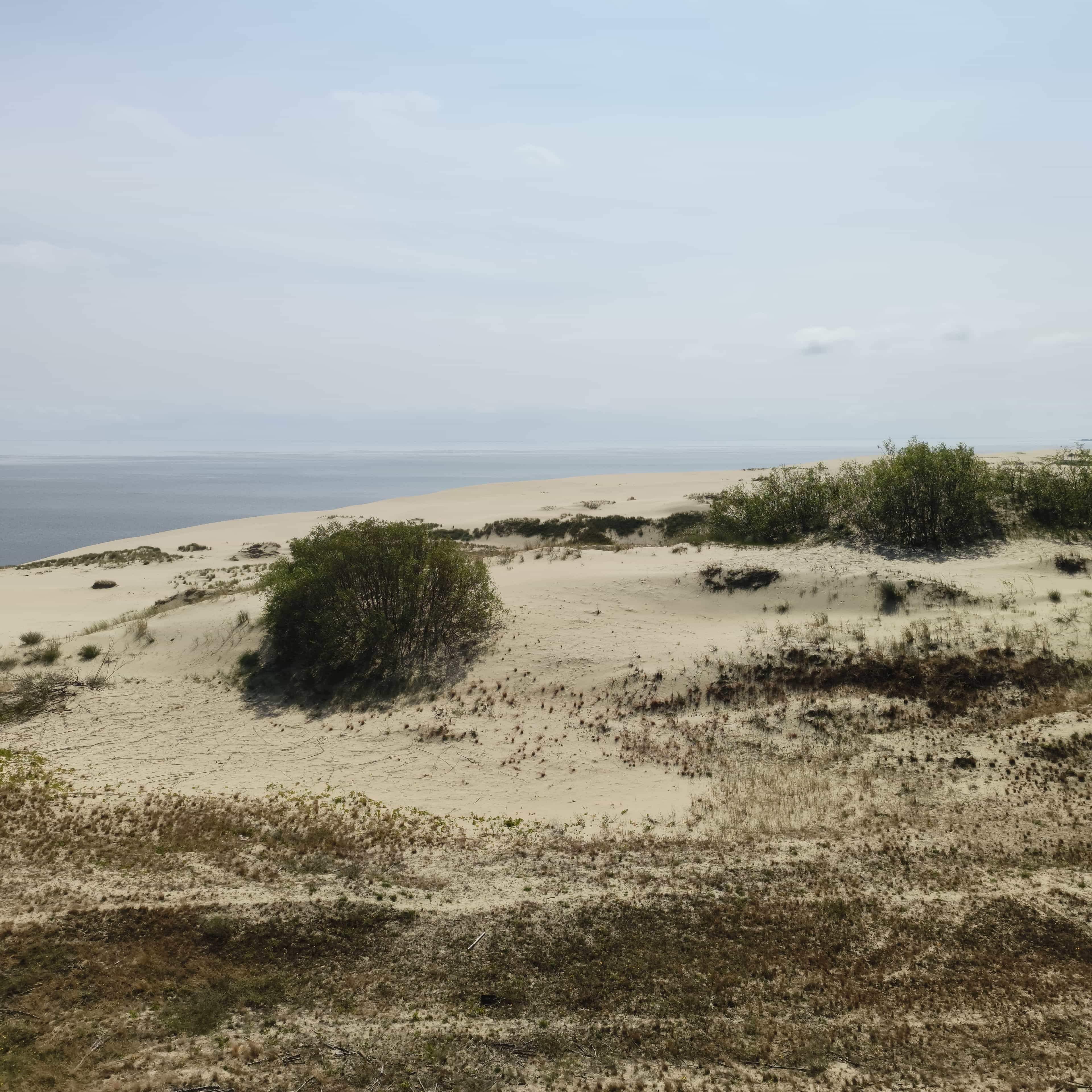 Photo from Kaliningrad: dune 3.