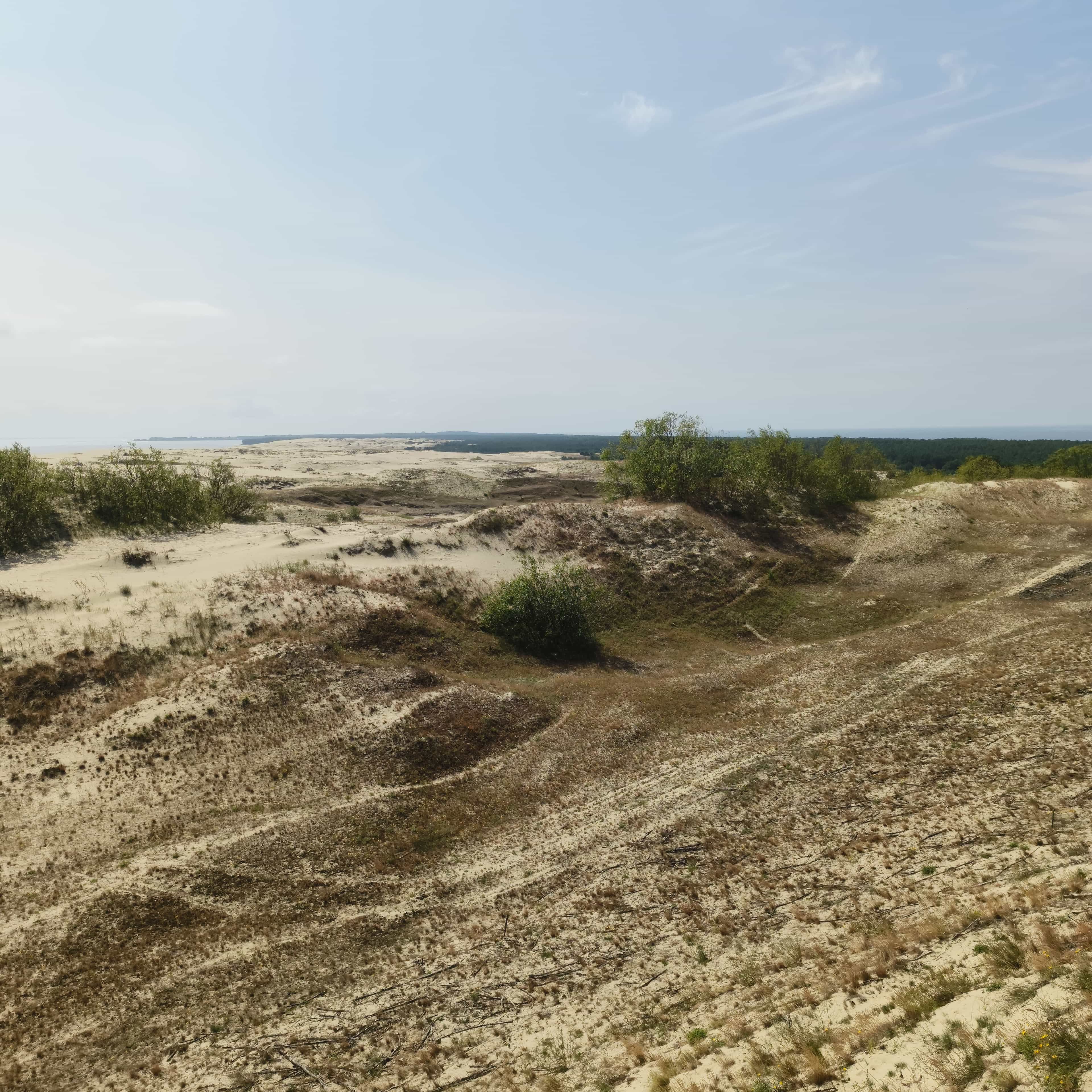 Photo from Kaliningrad: dune 4.