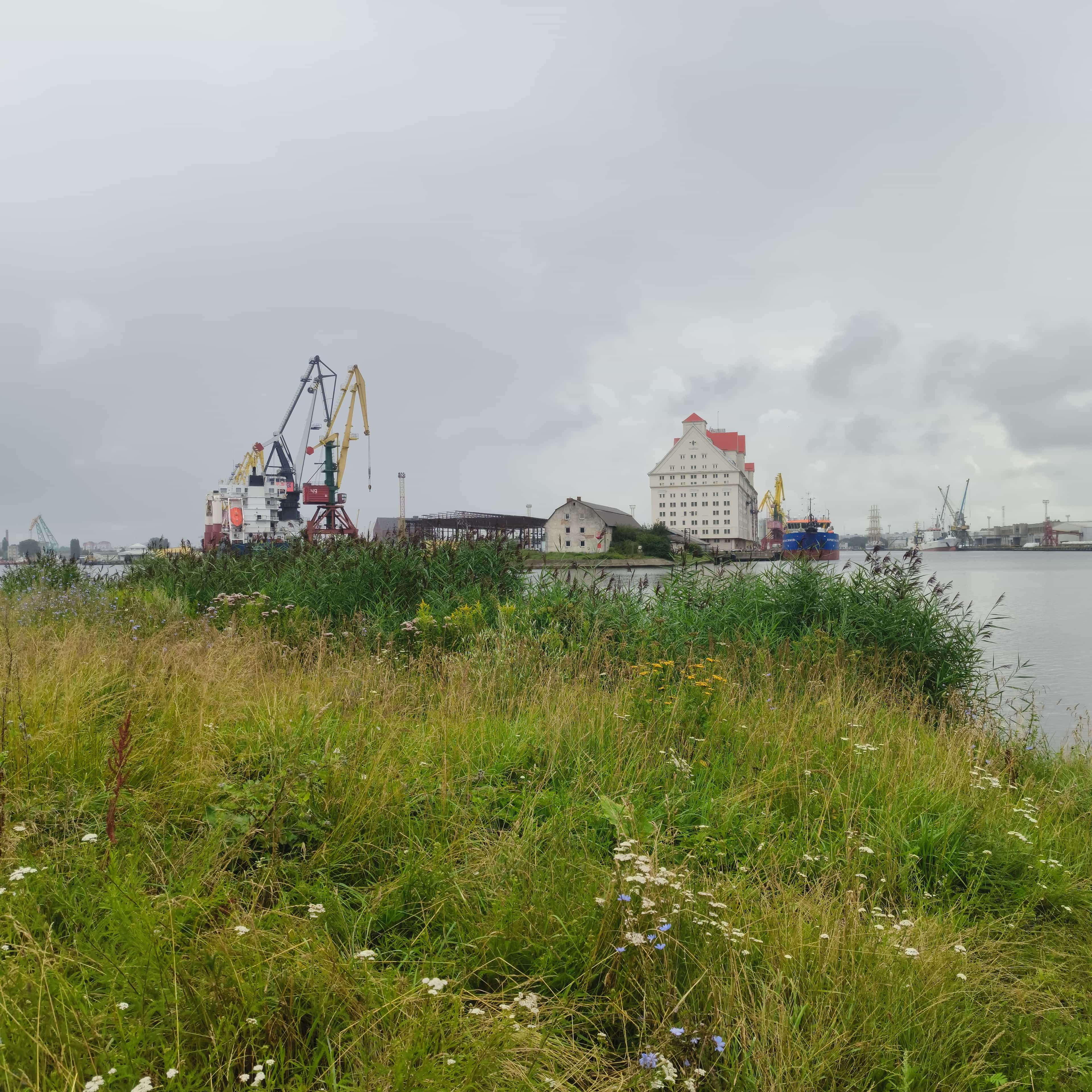 Photo from Kaliningrad: port.