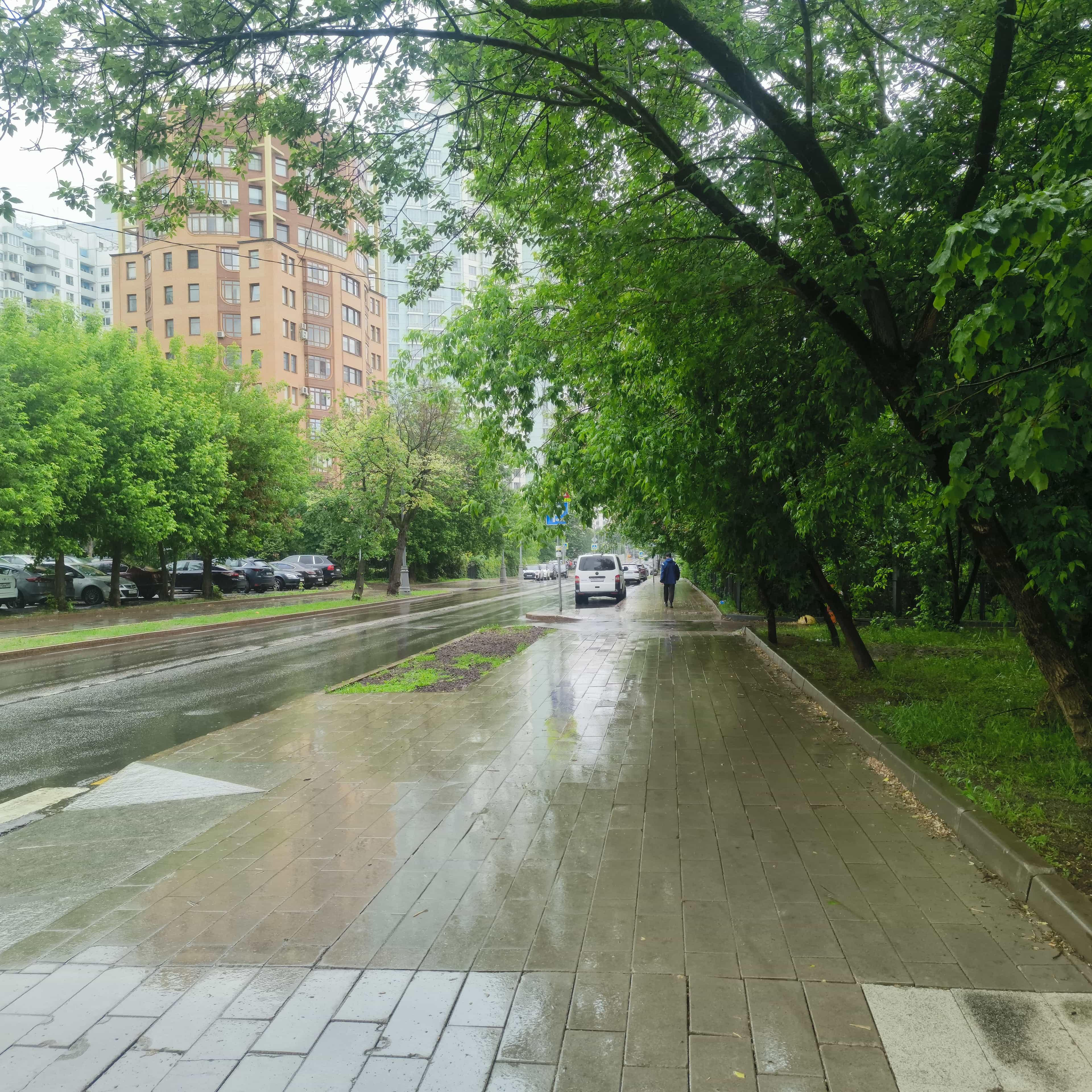 Photo from Moscow: boulevard.
