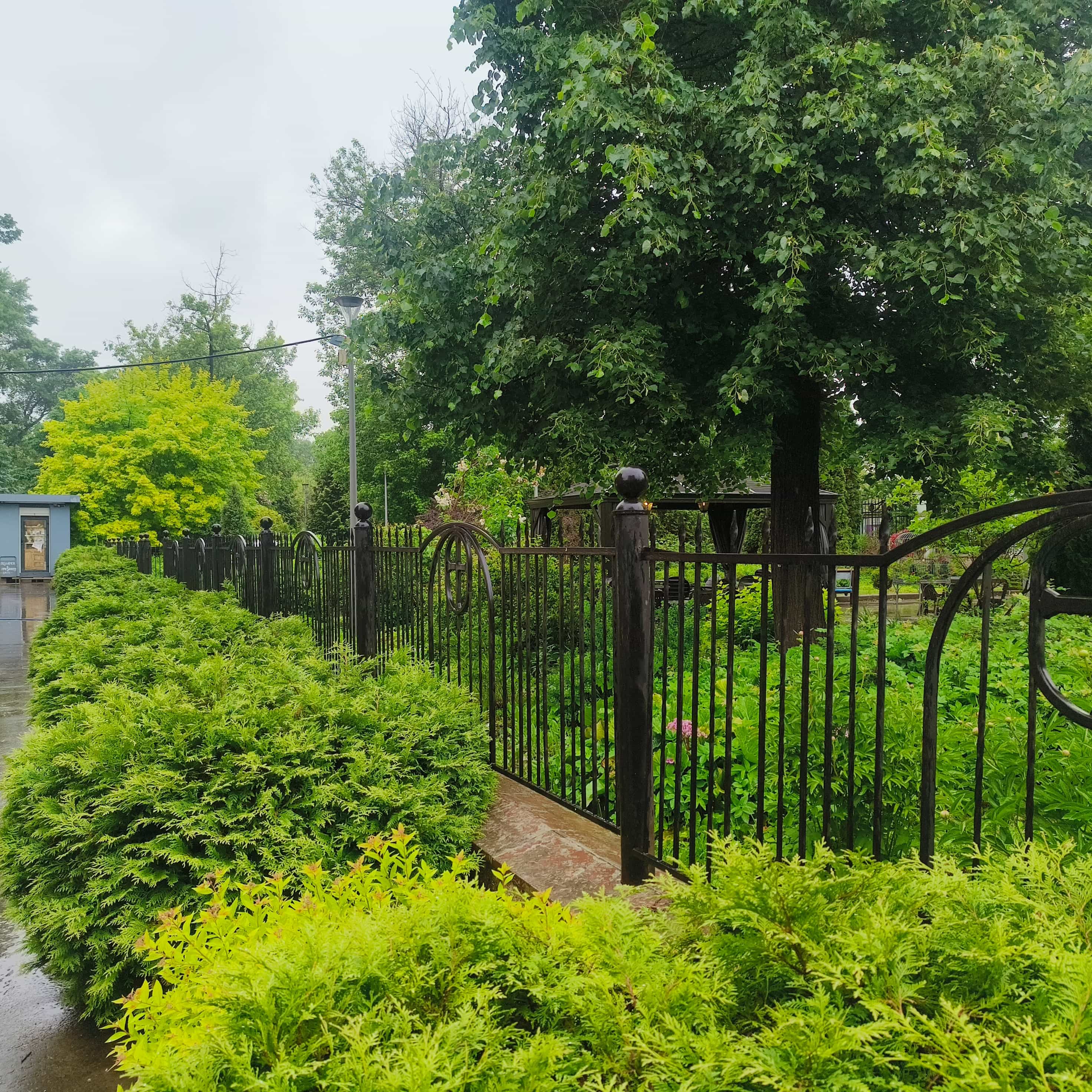 Photo from Moscow: green garden fence.