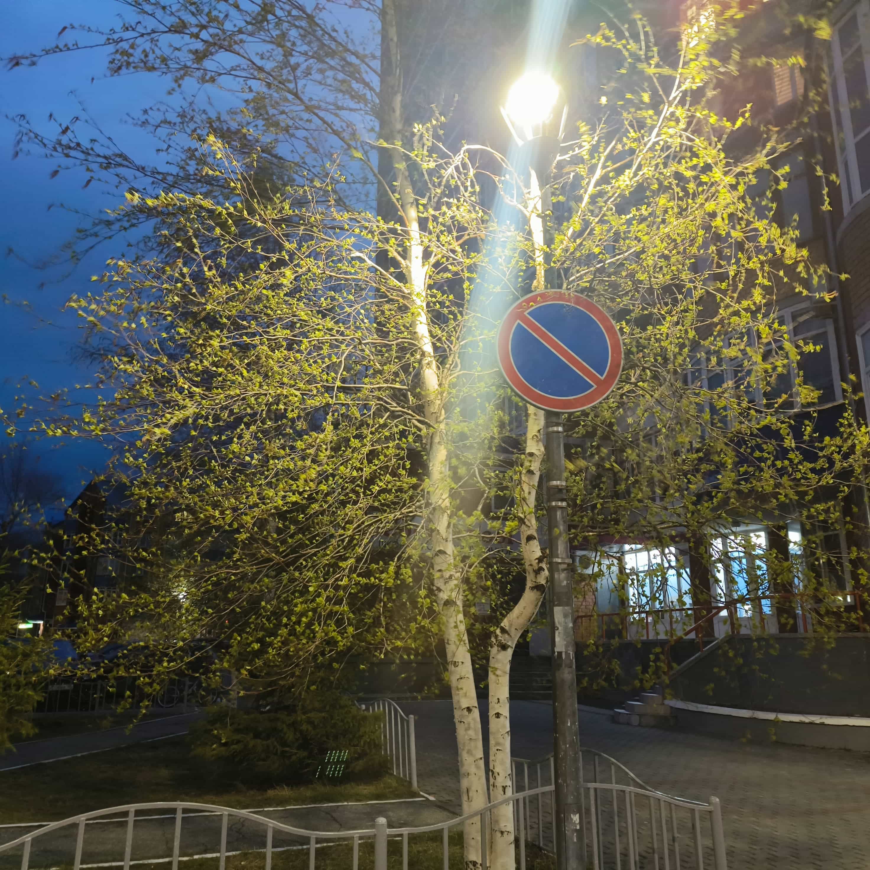 Photo from Surgut: streetlight.