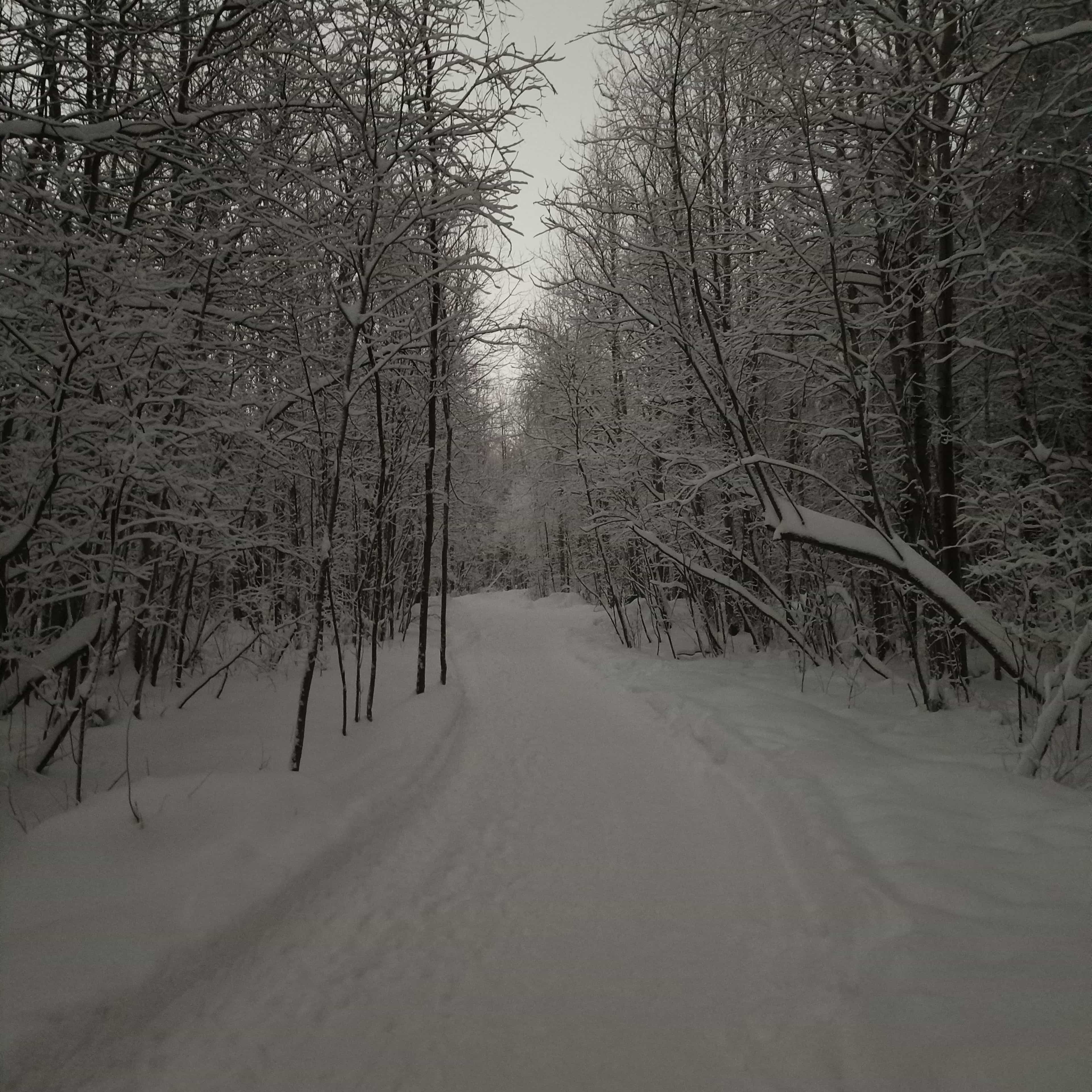 Photo from Surgut: frost 20.