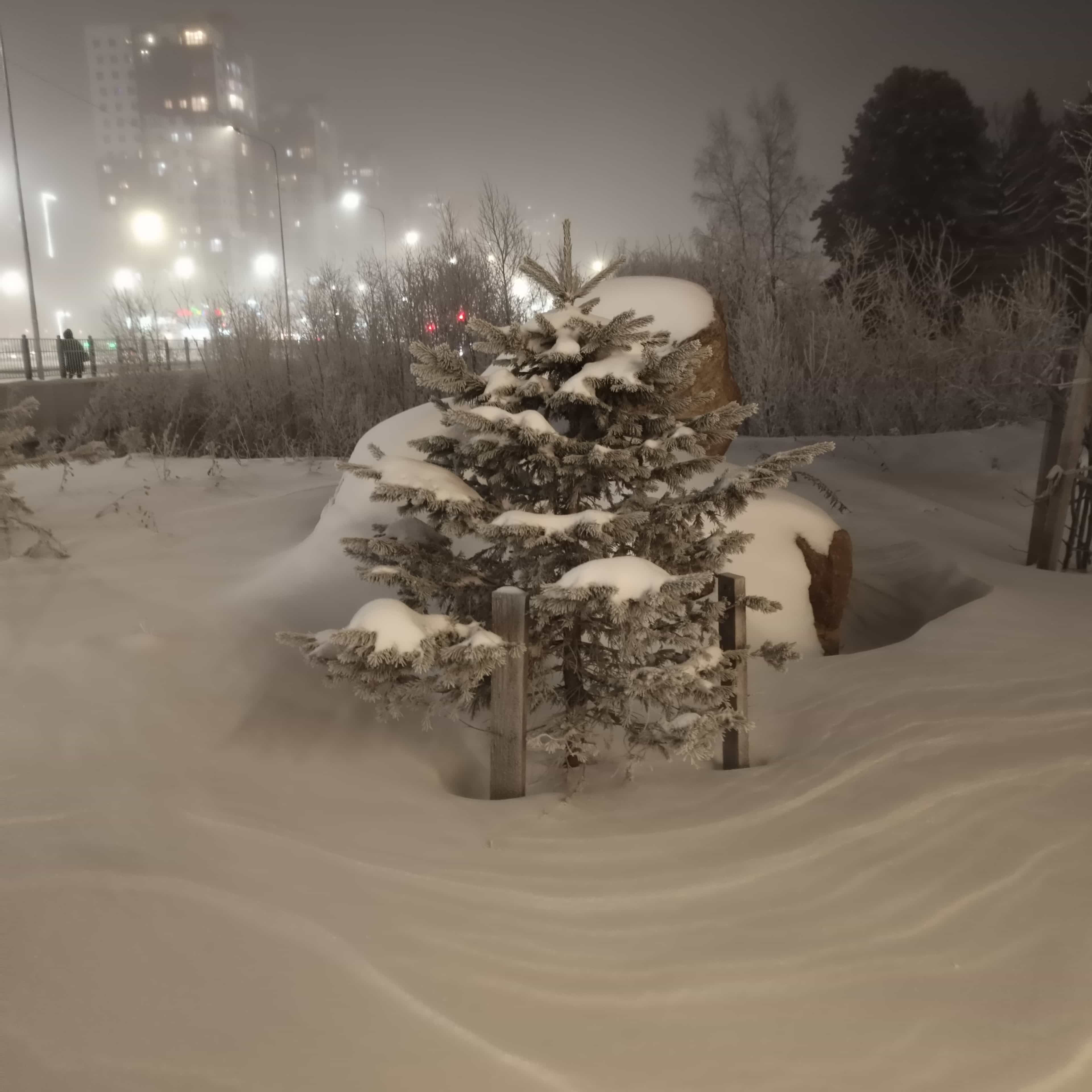 Photo from Surgut: frost 6.