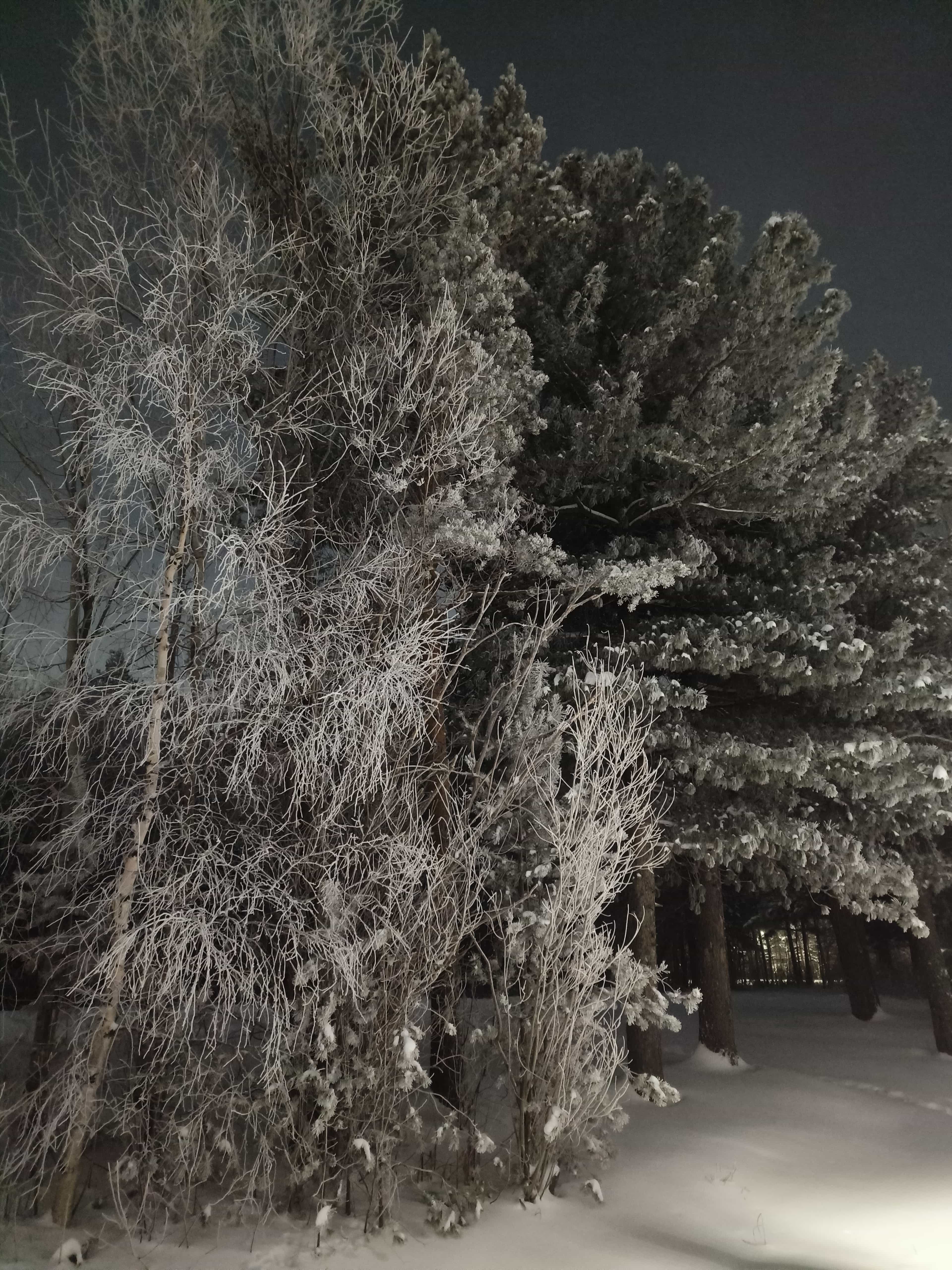 Photo from Surgut: frost 8.