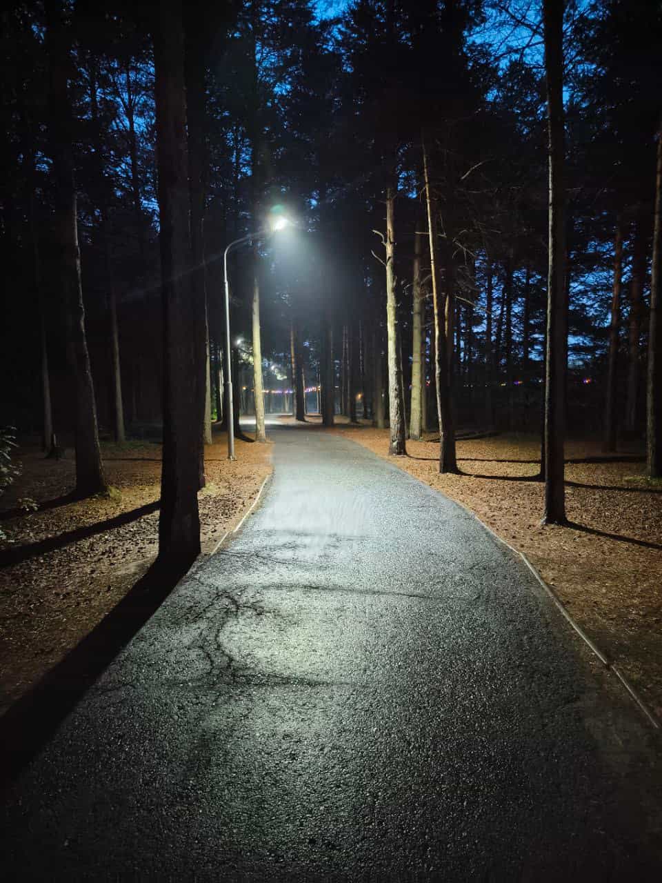 Photo from Surgut: park 2.