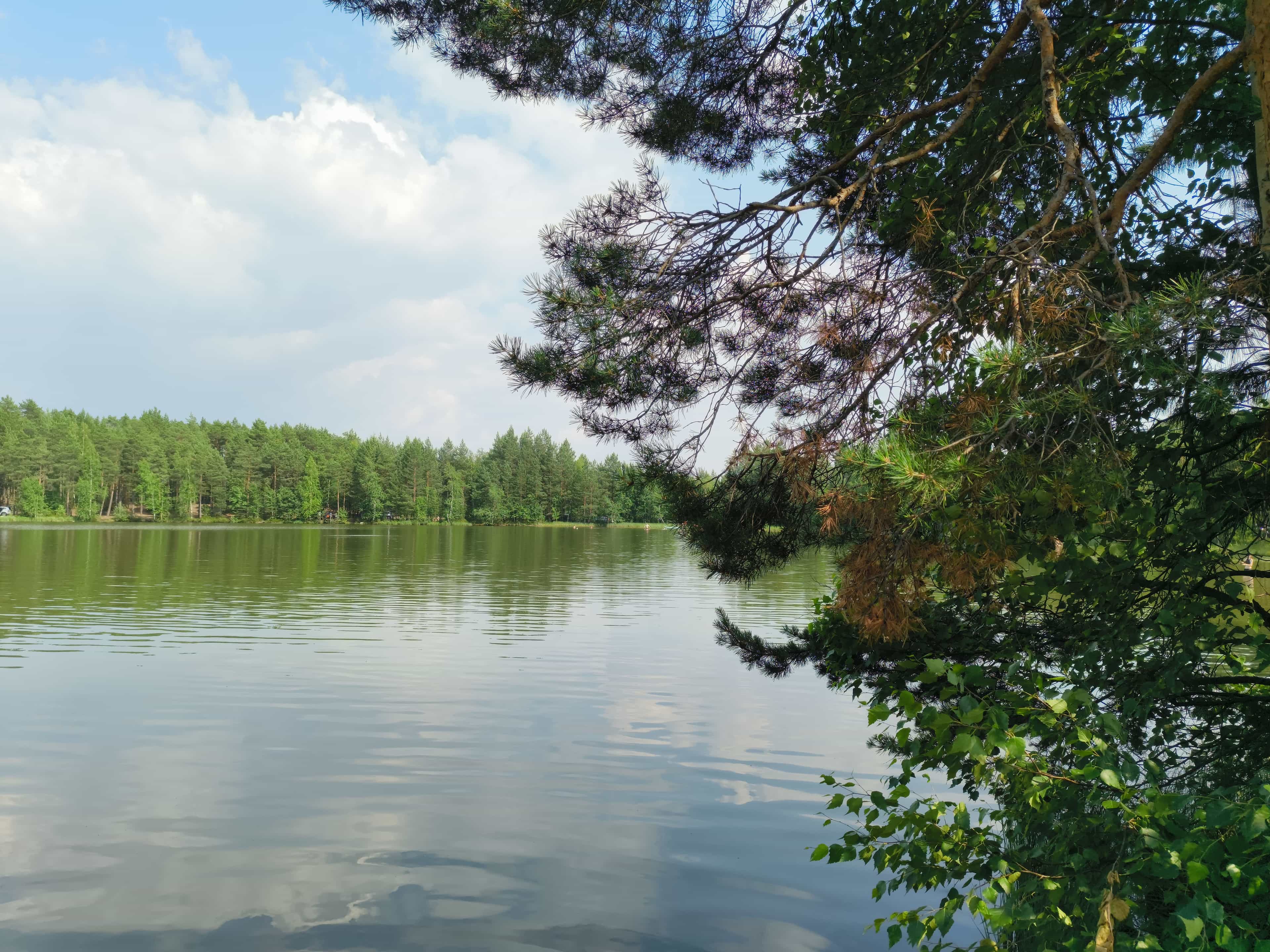 Photo from Surgut: quiet lake.