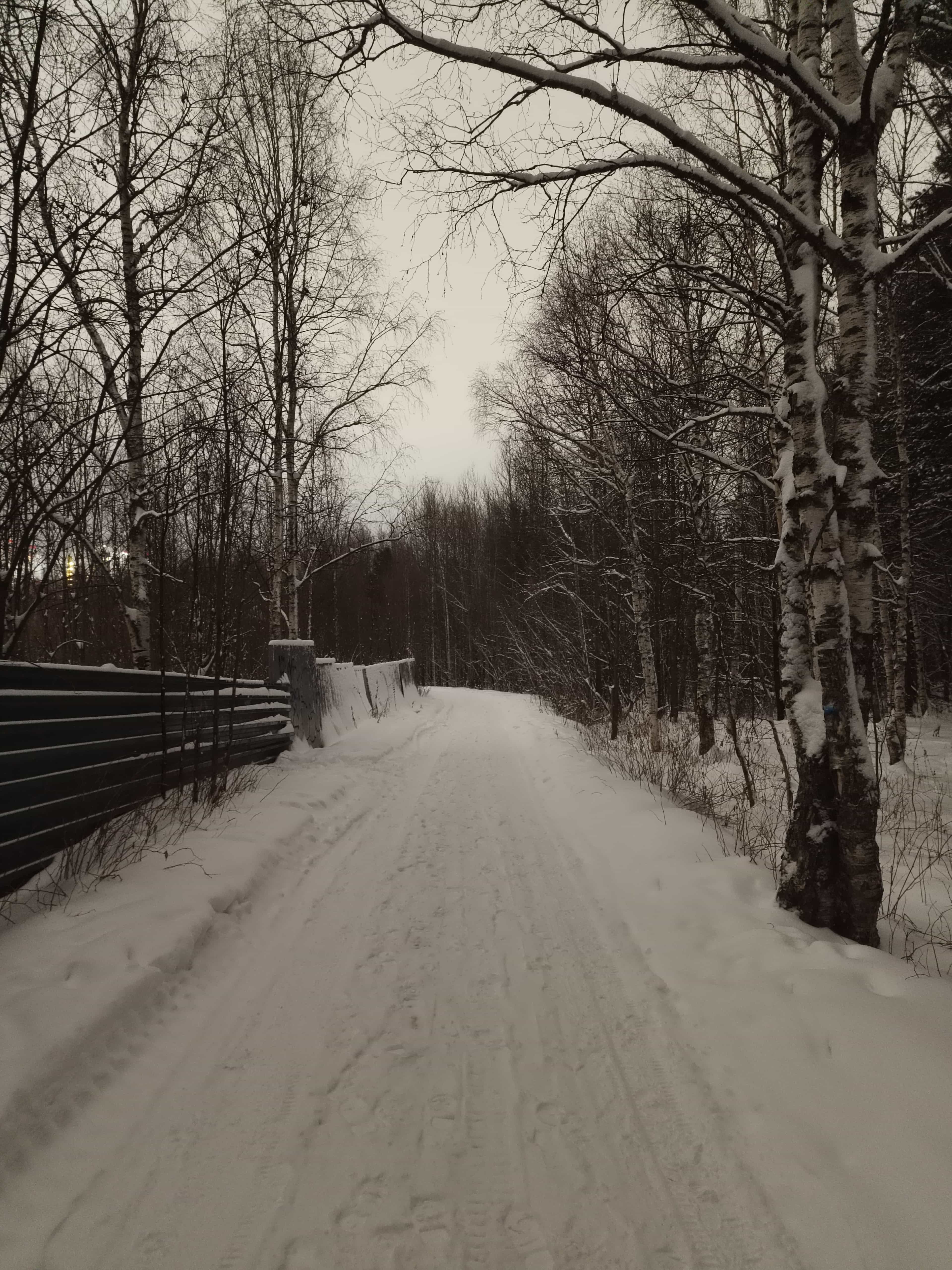 Photo from Surgut: snowy 11.