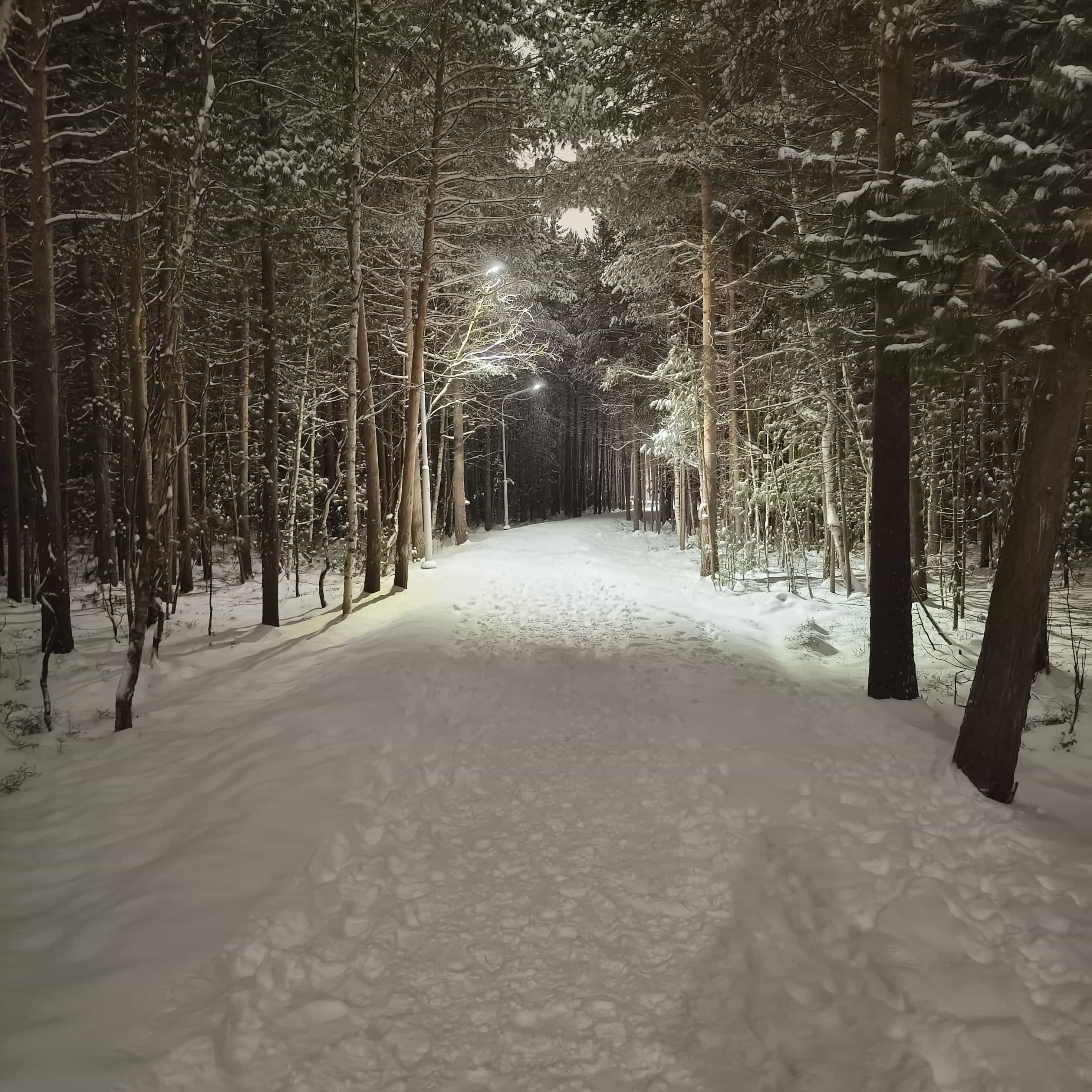 Photo from Surgut: snowy park 1.