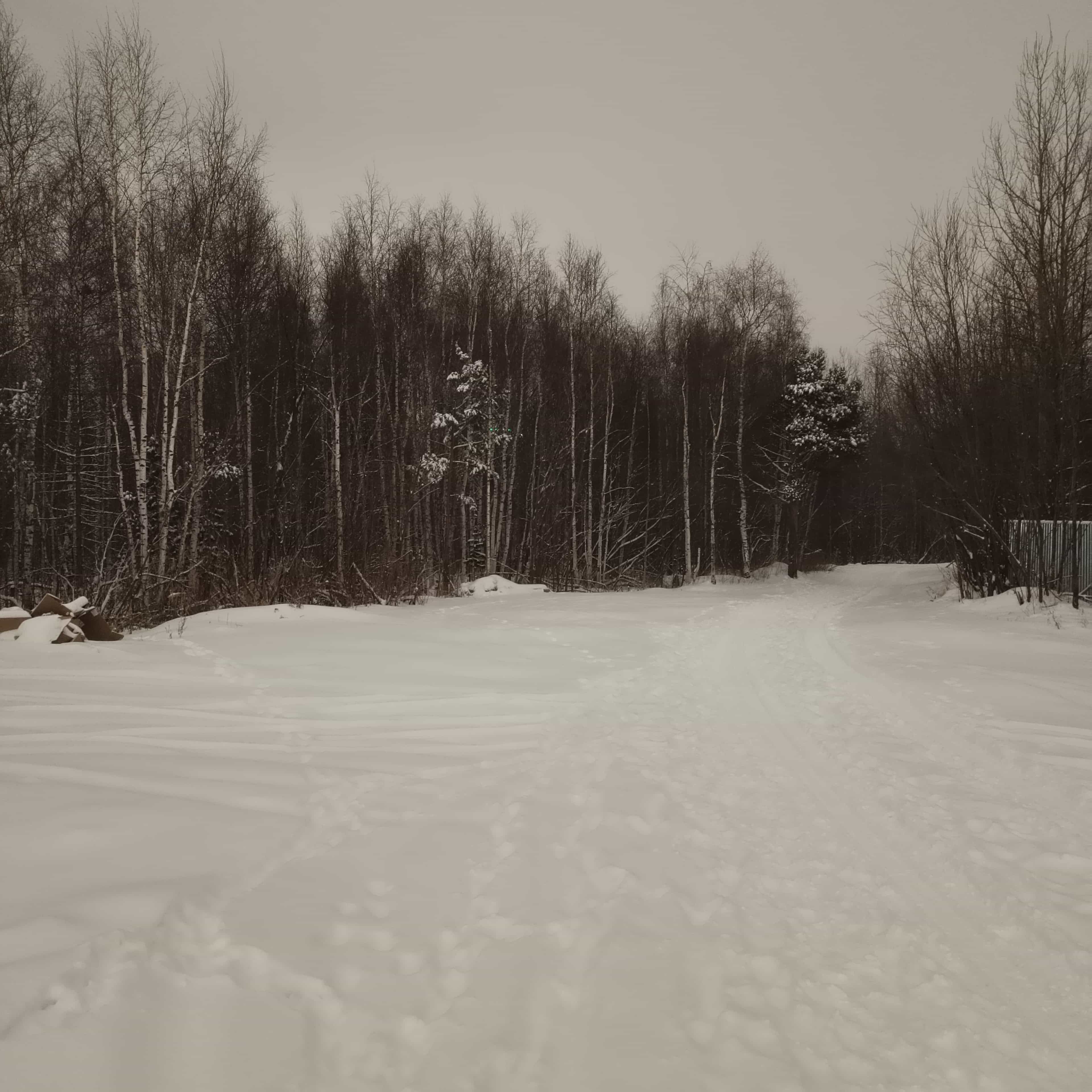 Photo from Surgut: snowy park 11.