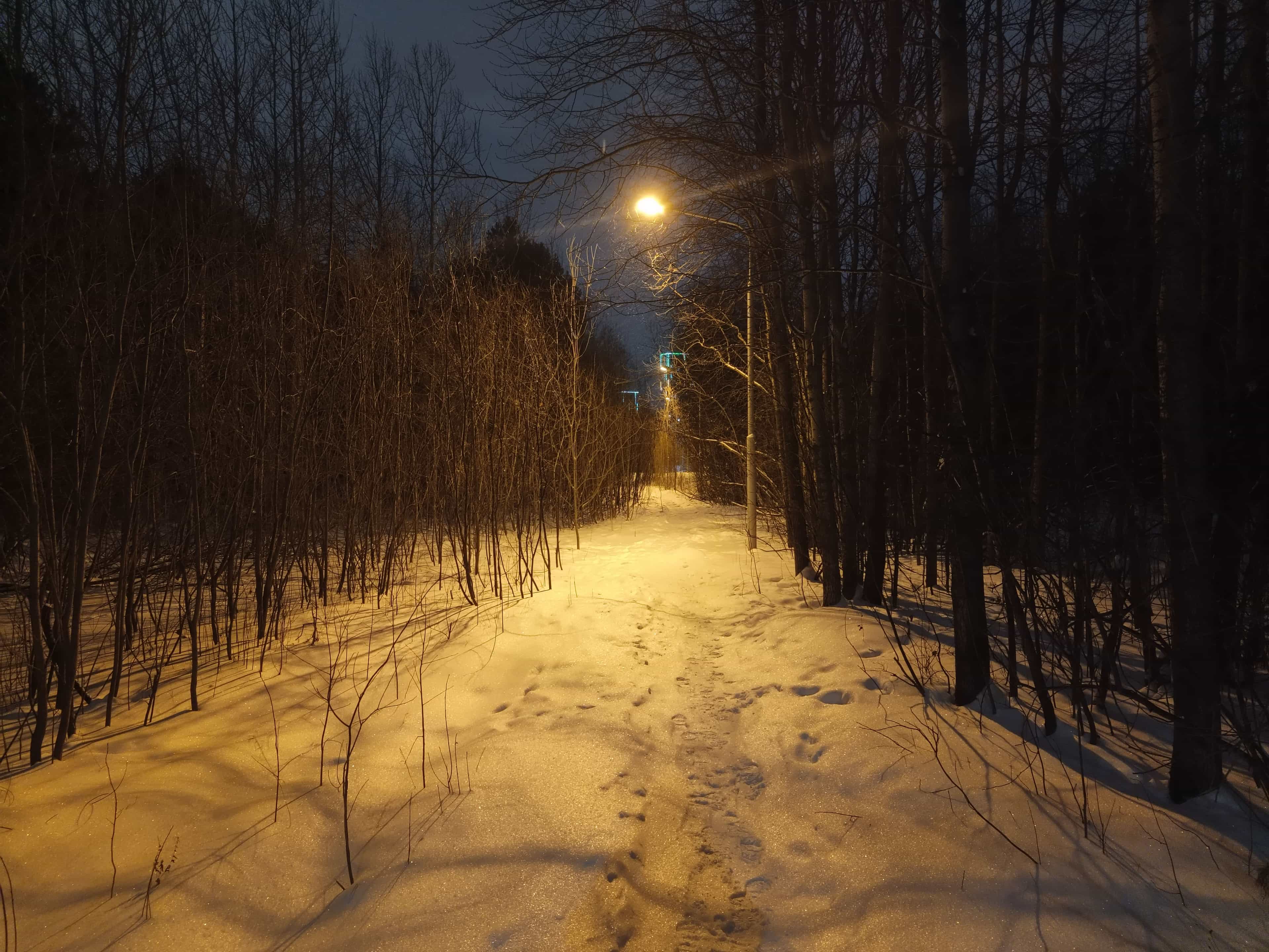 Photo from Surgut: snowy park 13.
