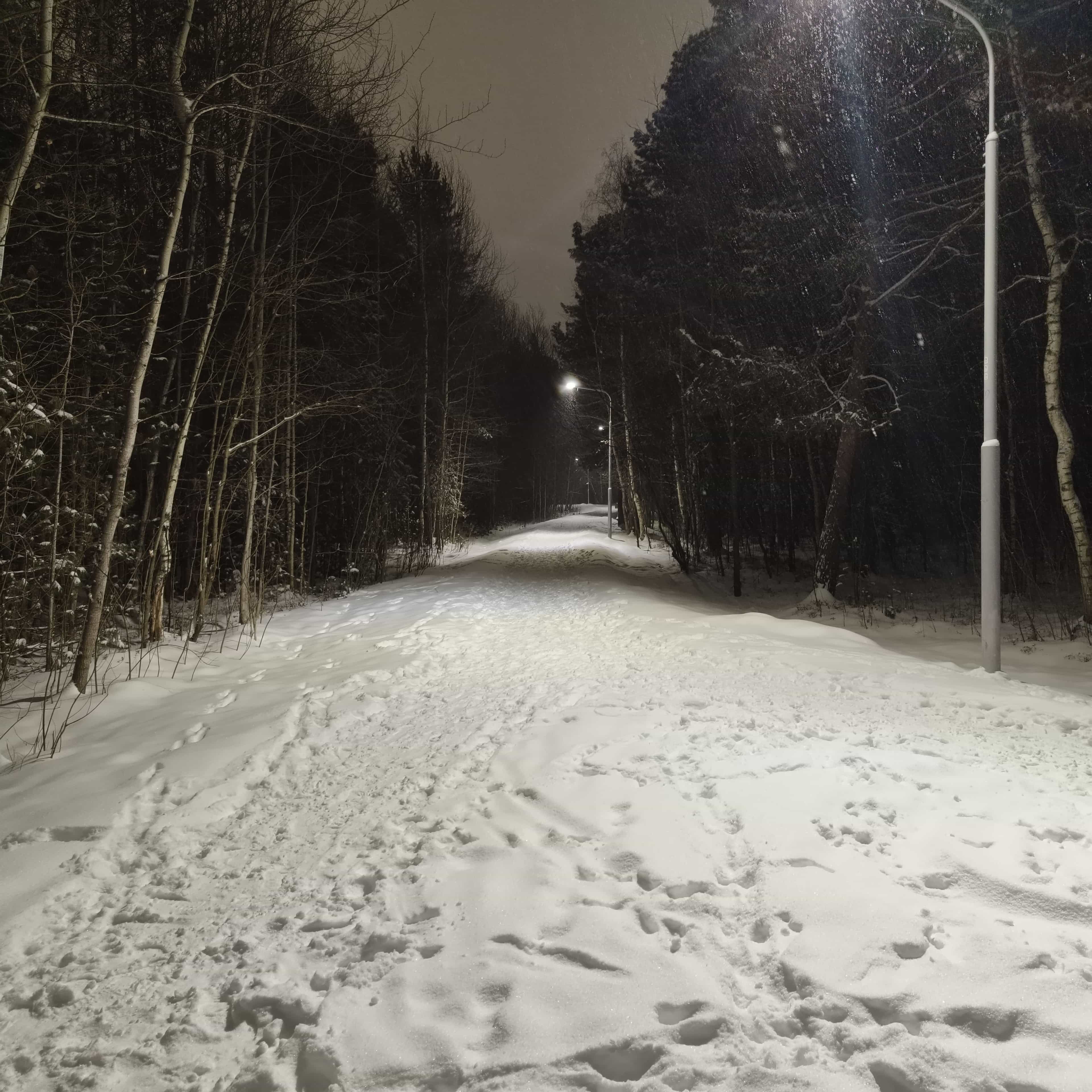 Photo from Surgut: snowy park 2.