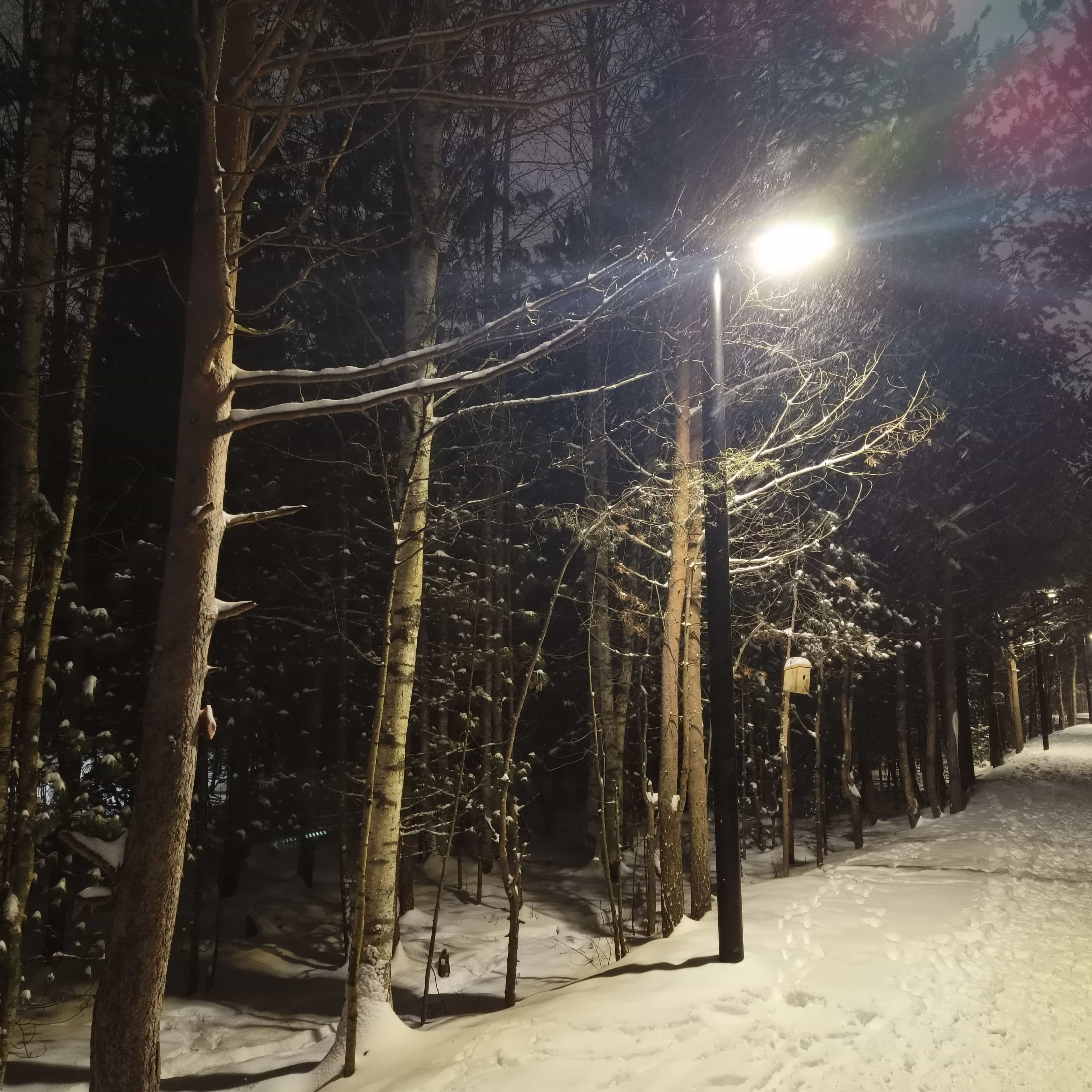 Photo from Surgut: snowy park 8.