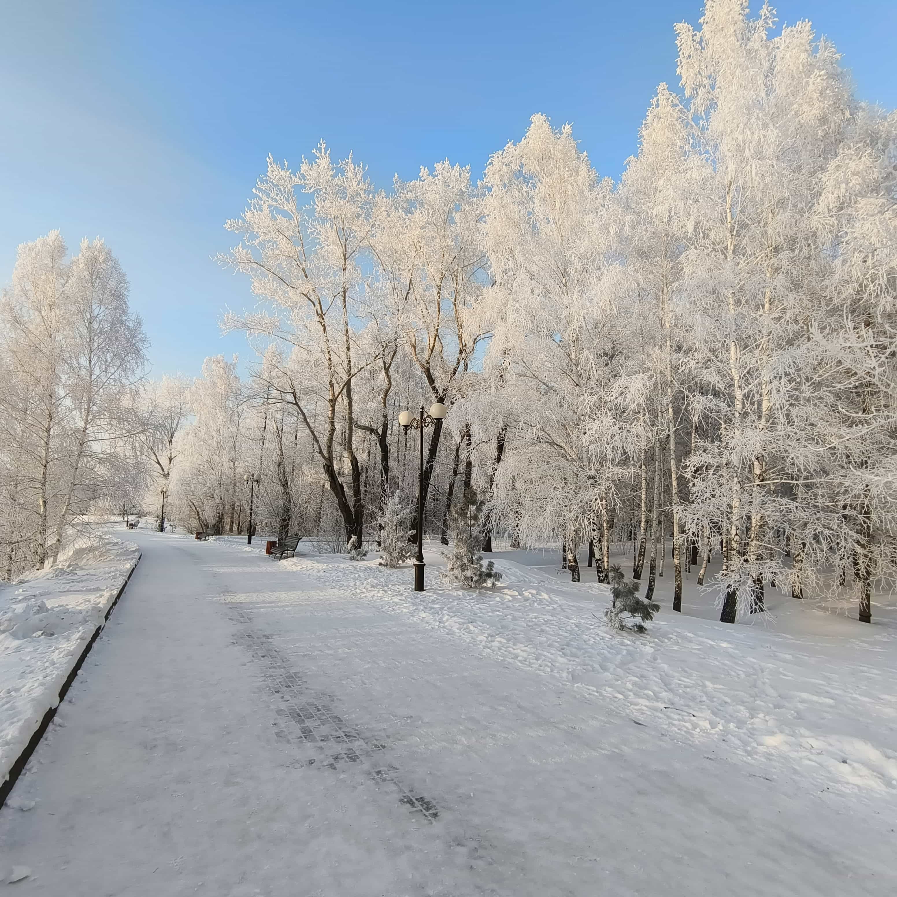 Photo from Tomsk: snowy 2.