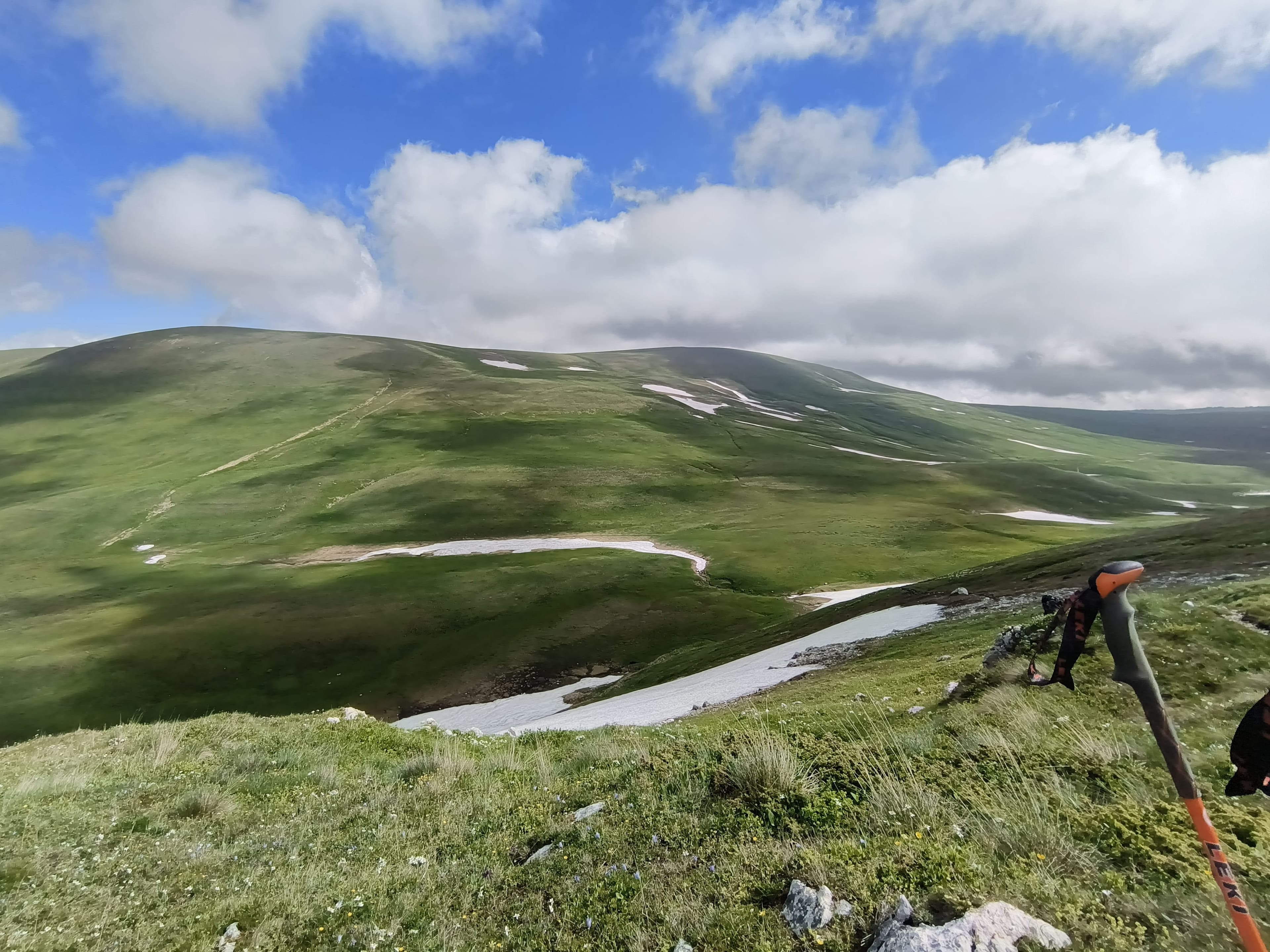Photo from Caucasus: field 1.