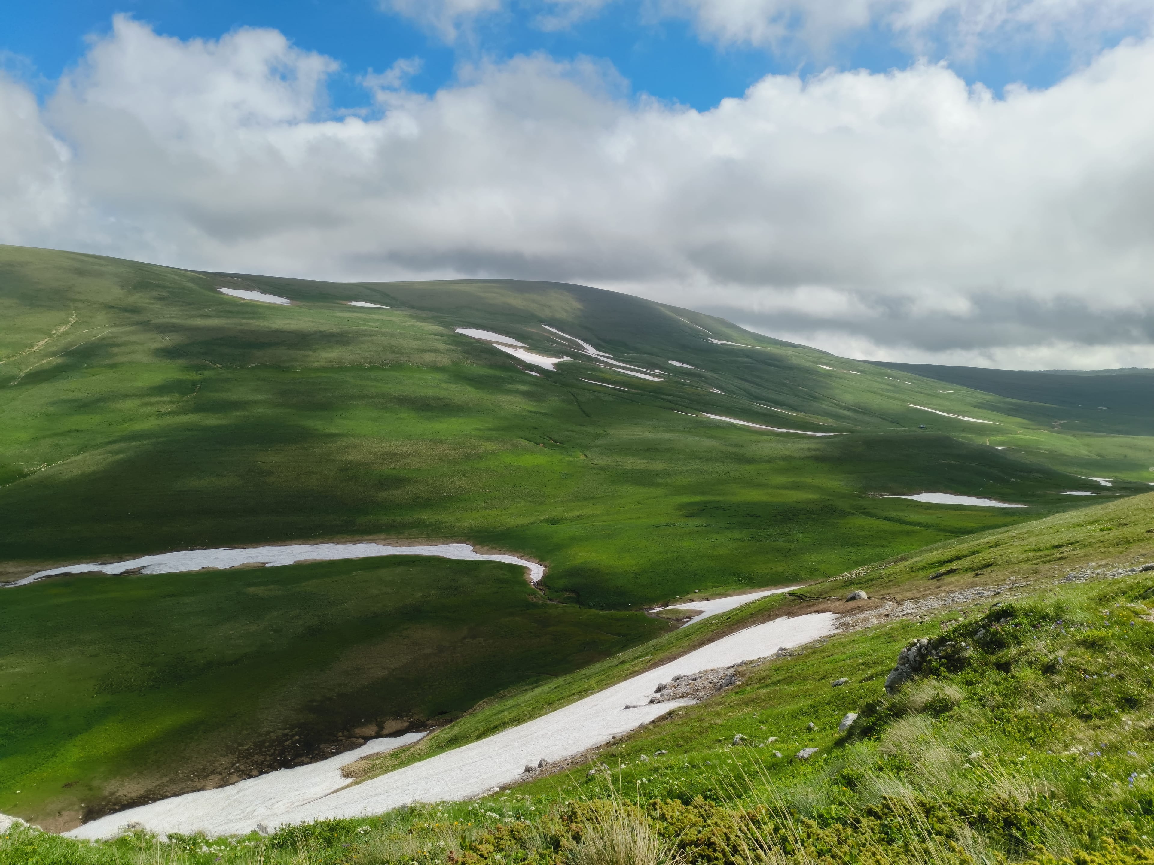 Photo from Caucasus: field 3.