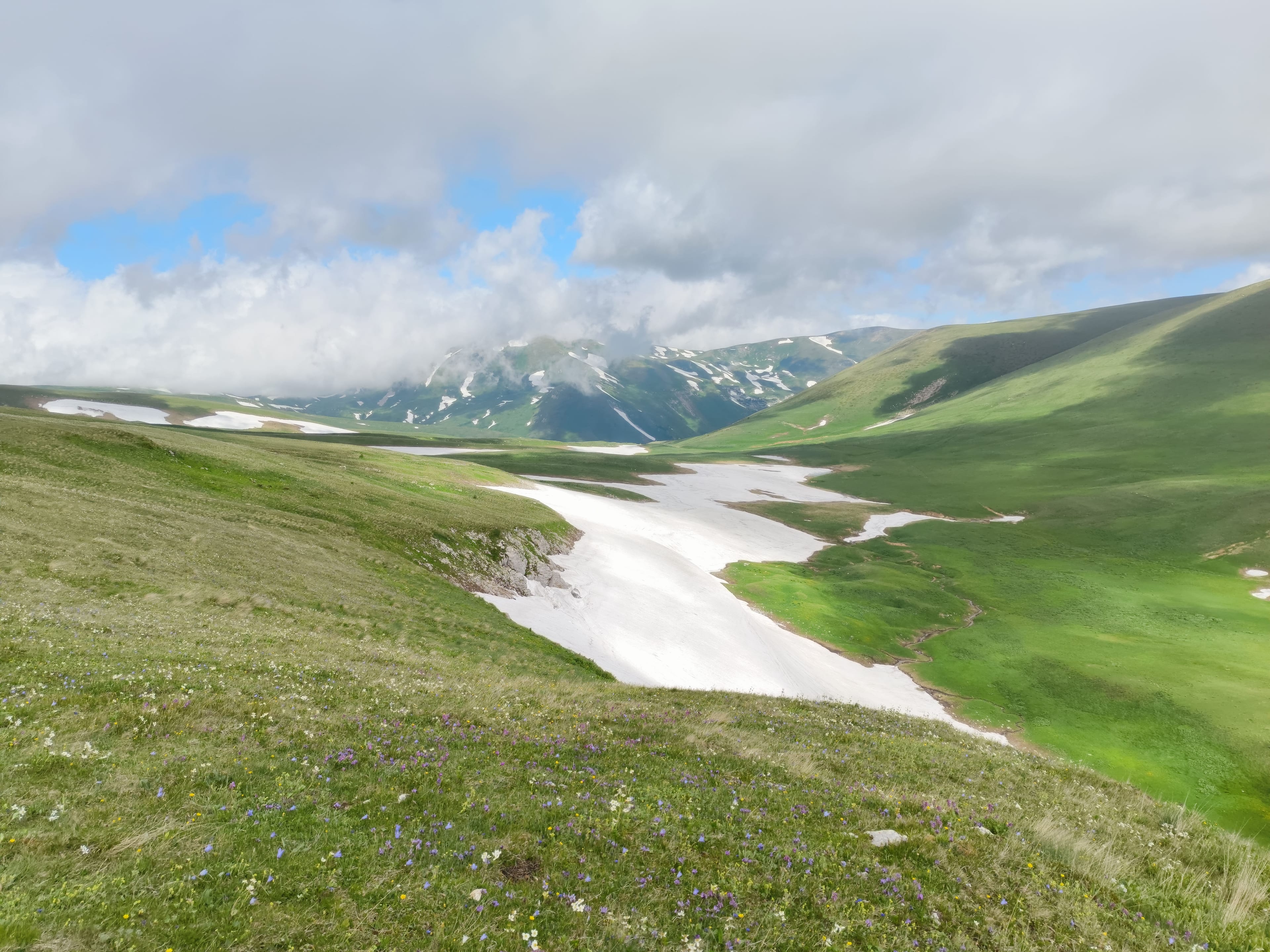 Photo from Caucasus: field 4.