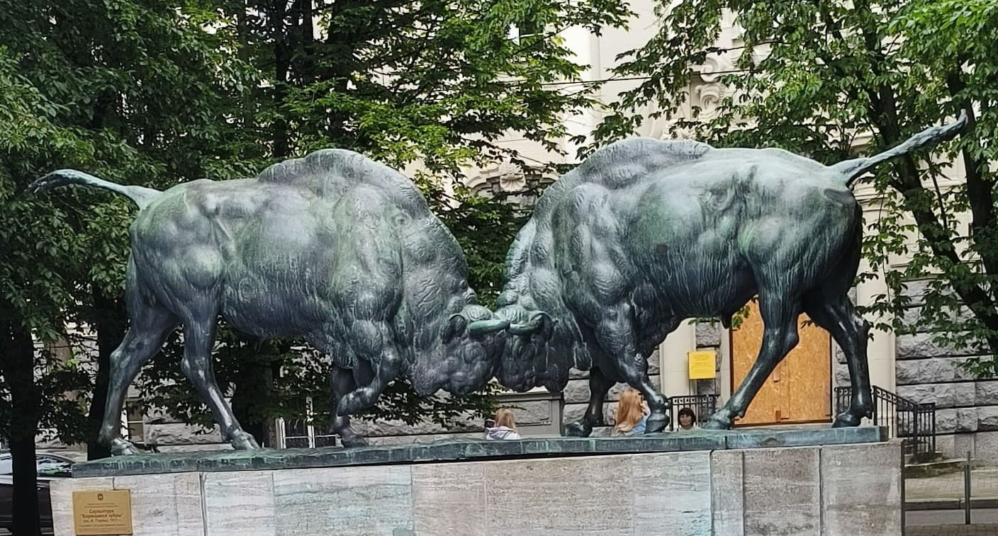 Photo from Kaliningrad: bulls.