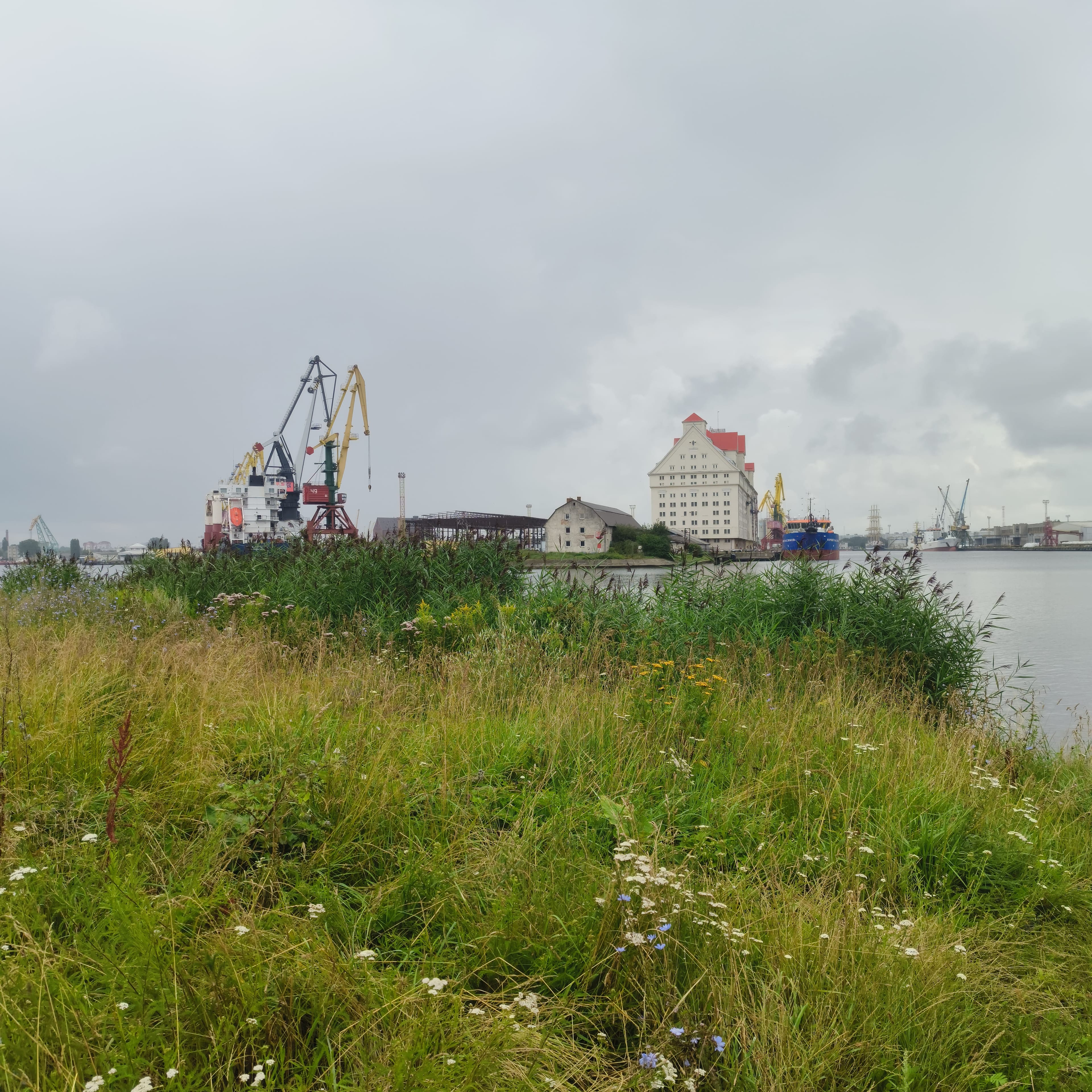 Photo from Kaliningrad: port.