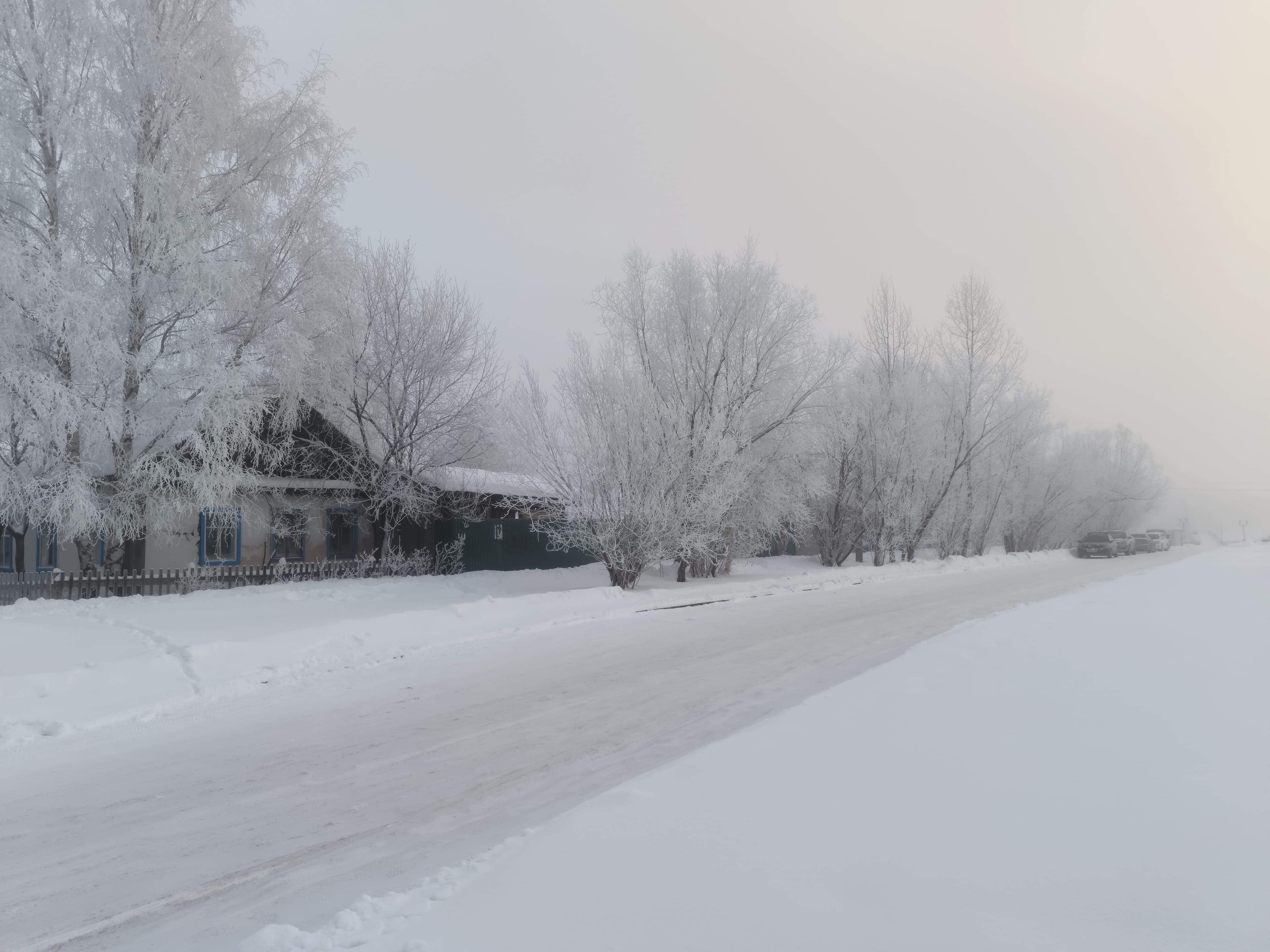 Photo from Surgut: frost 14.