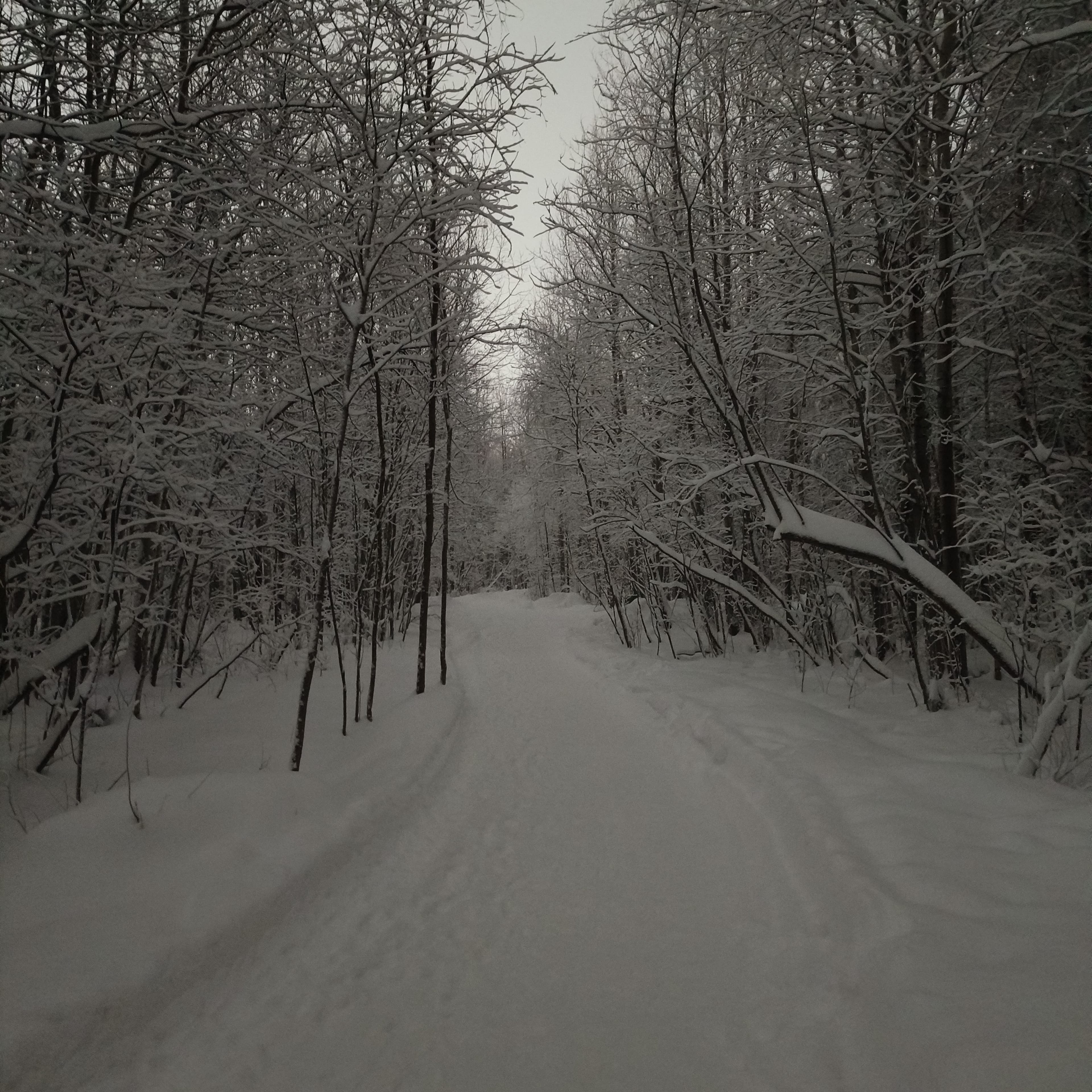 Photo from Surgut: frost 20.