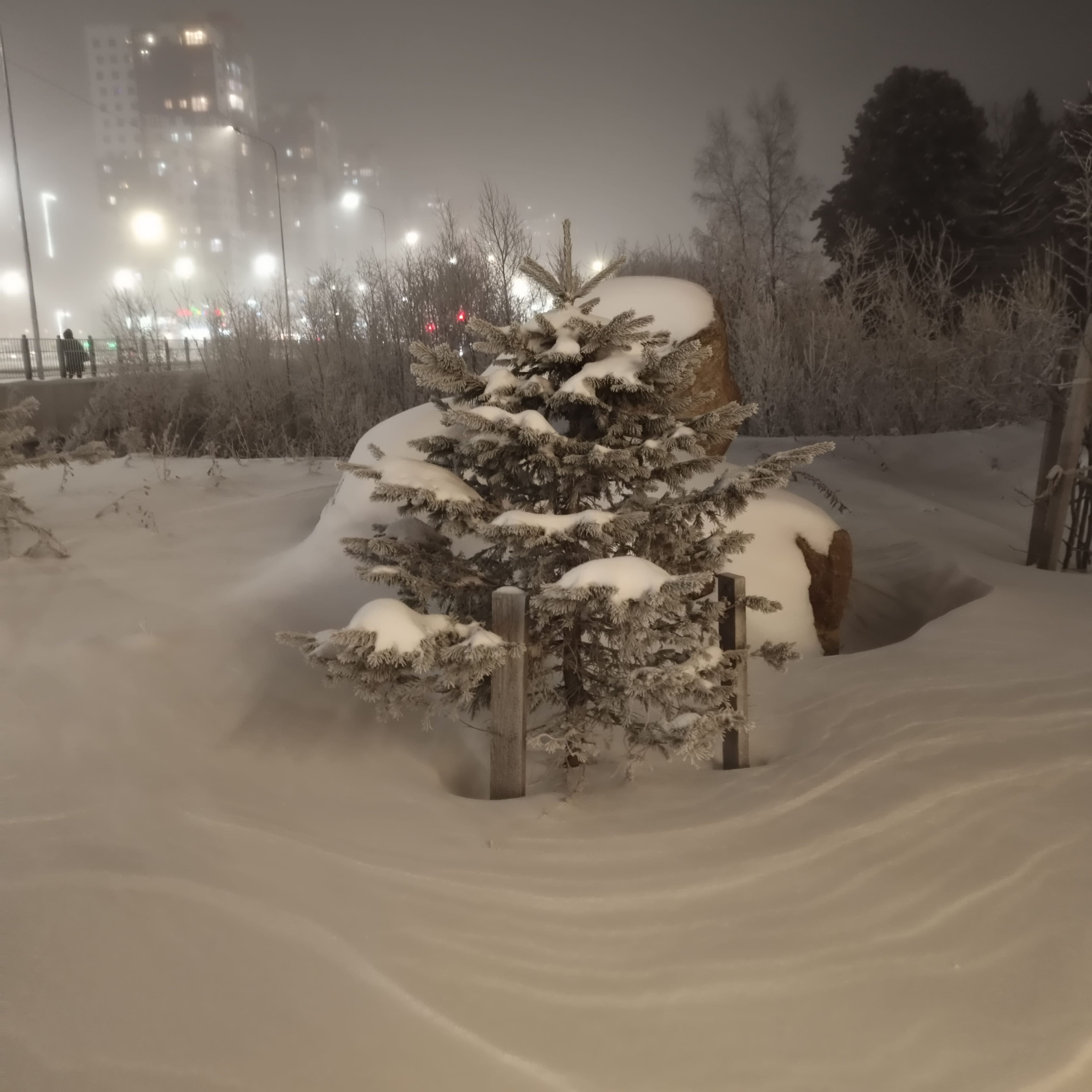 Photo from Surgut: frost 6.