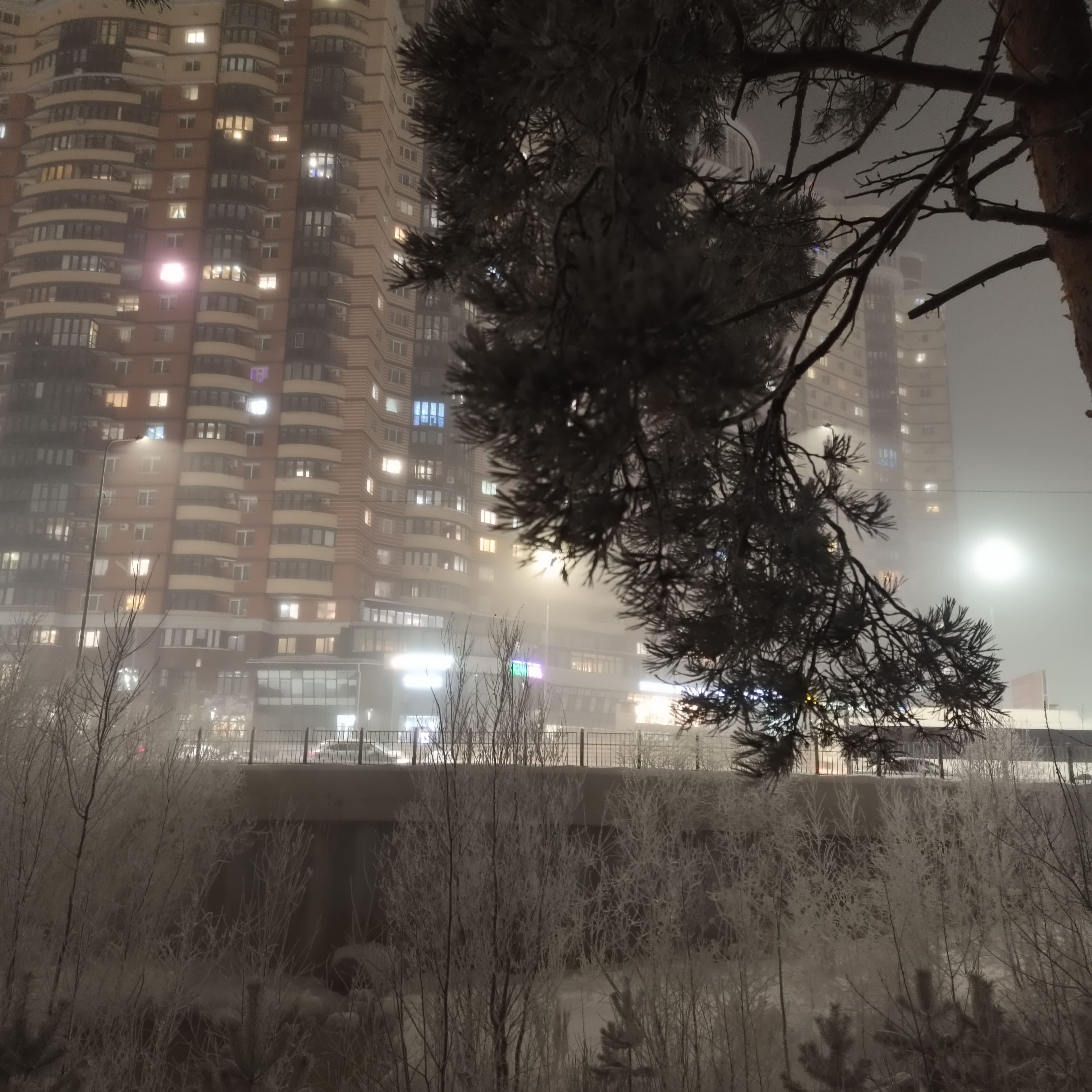Photo from Surgut: frost 7.