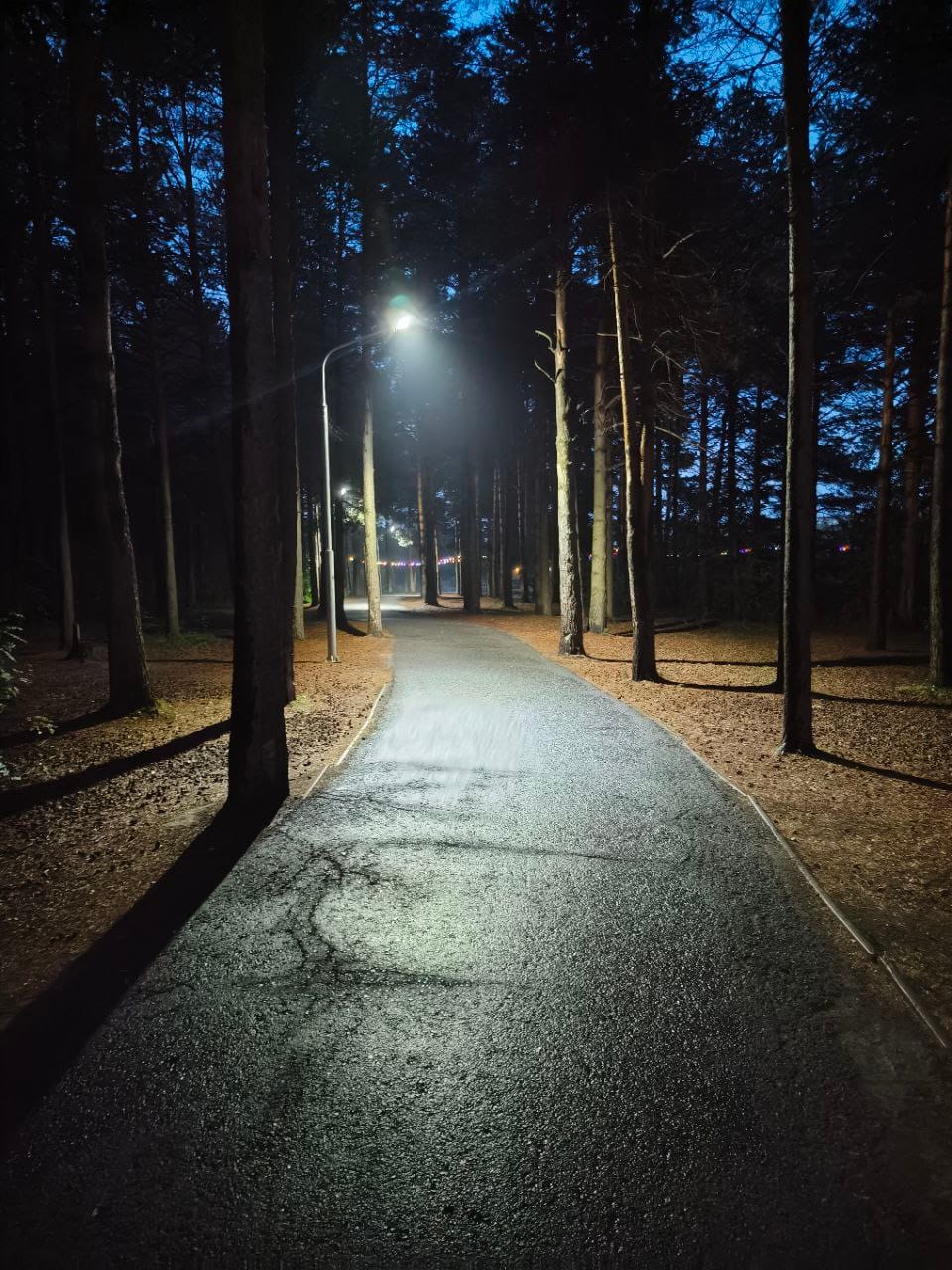 Photo from Surgut: park 2.