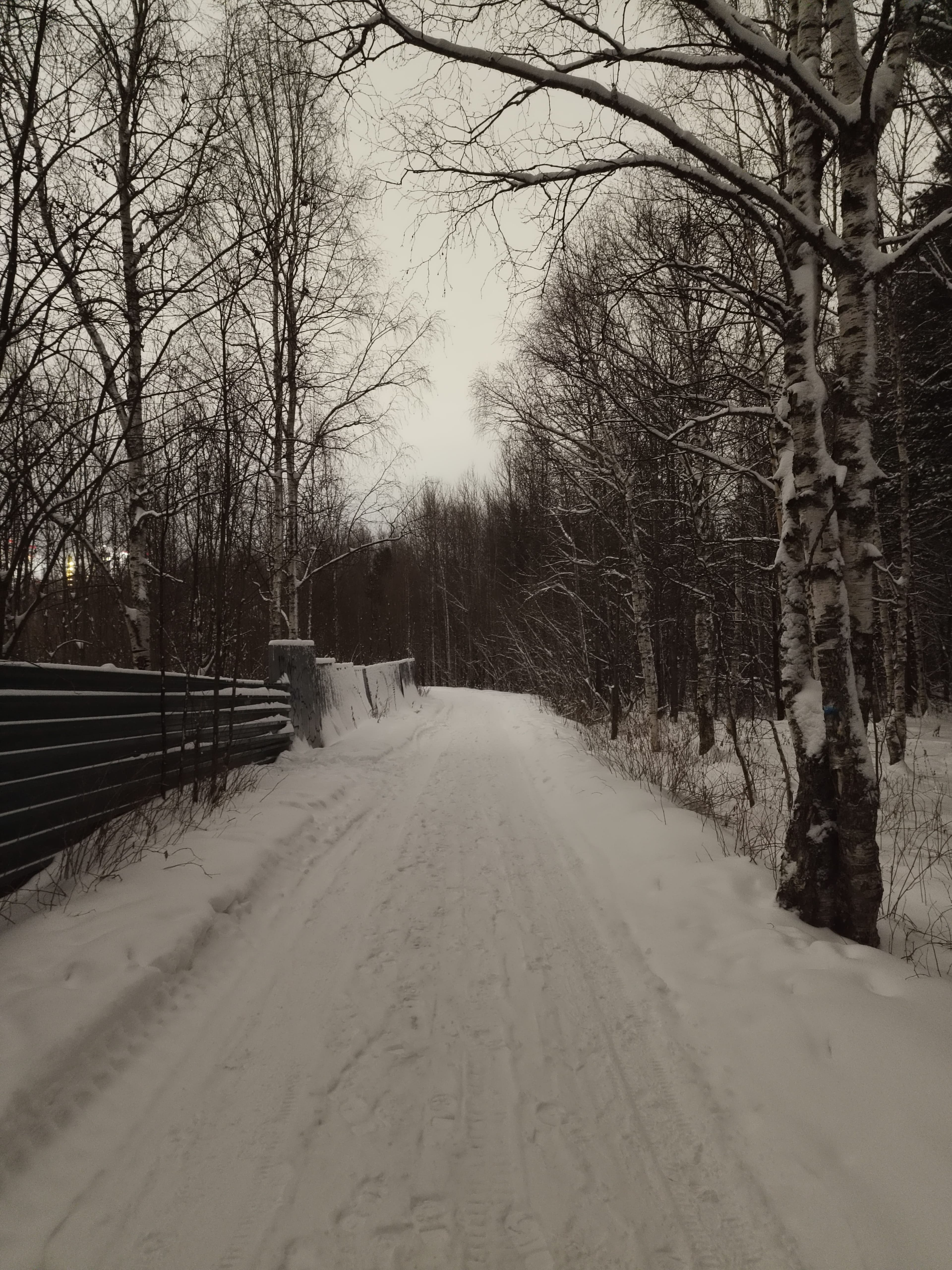 Photo from Surgut: snowy 11.