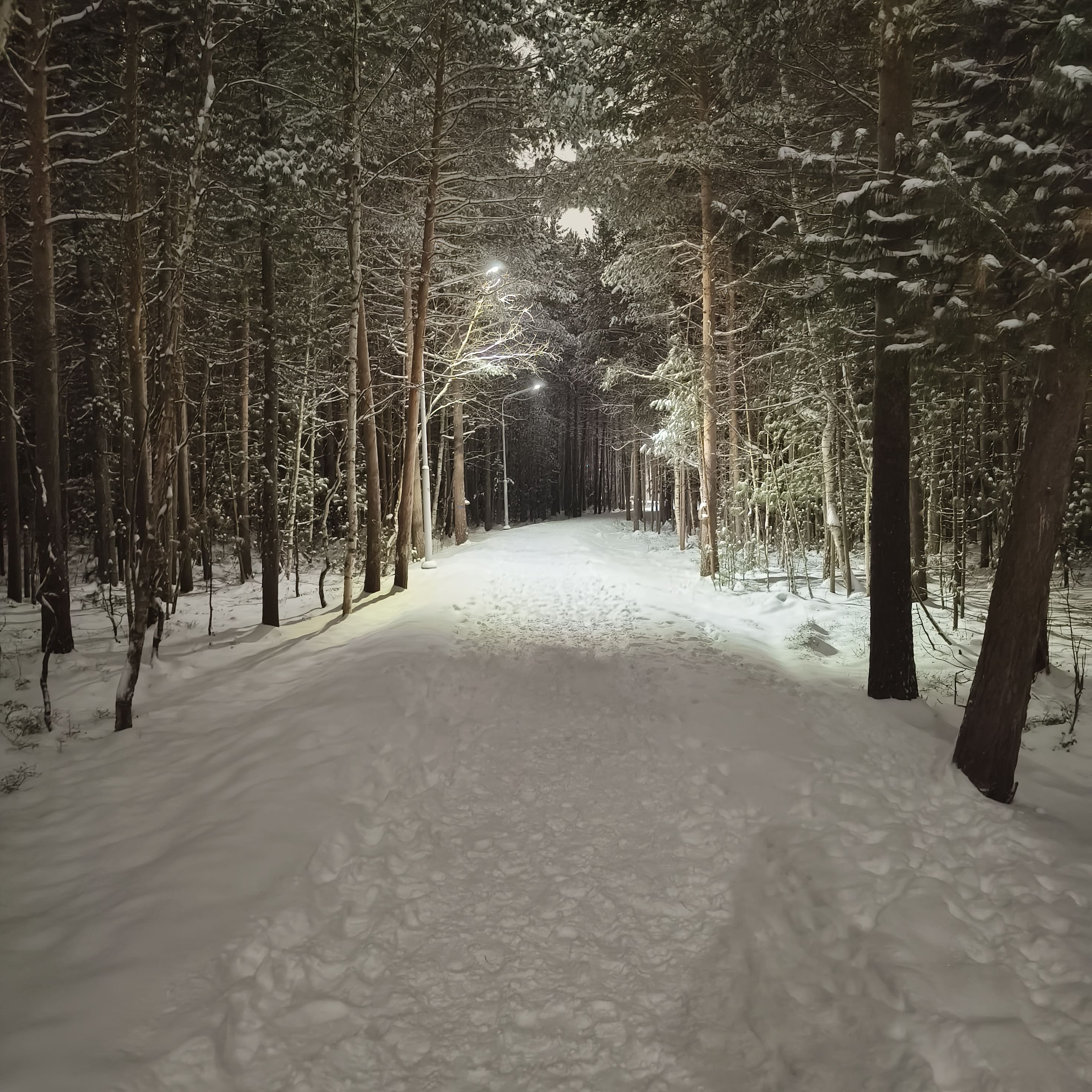 Photo from Surgut: snowy park 1.