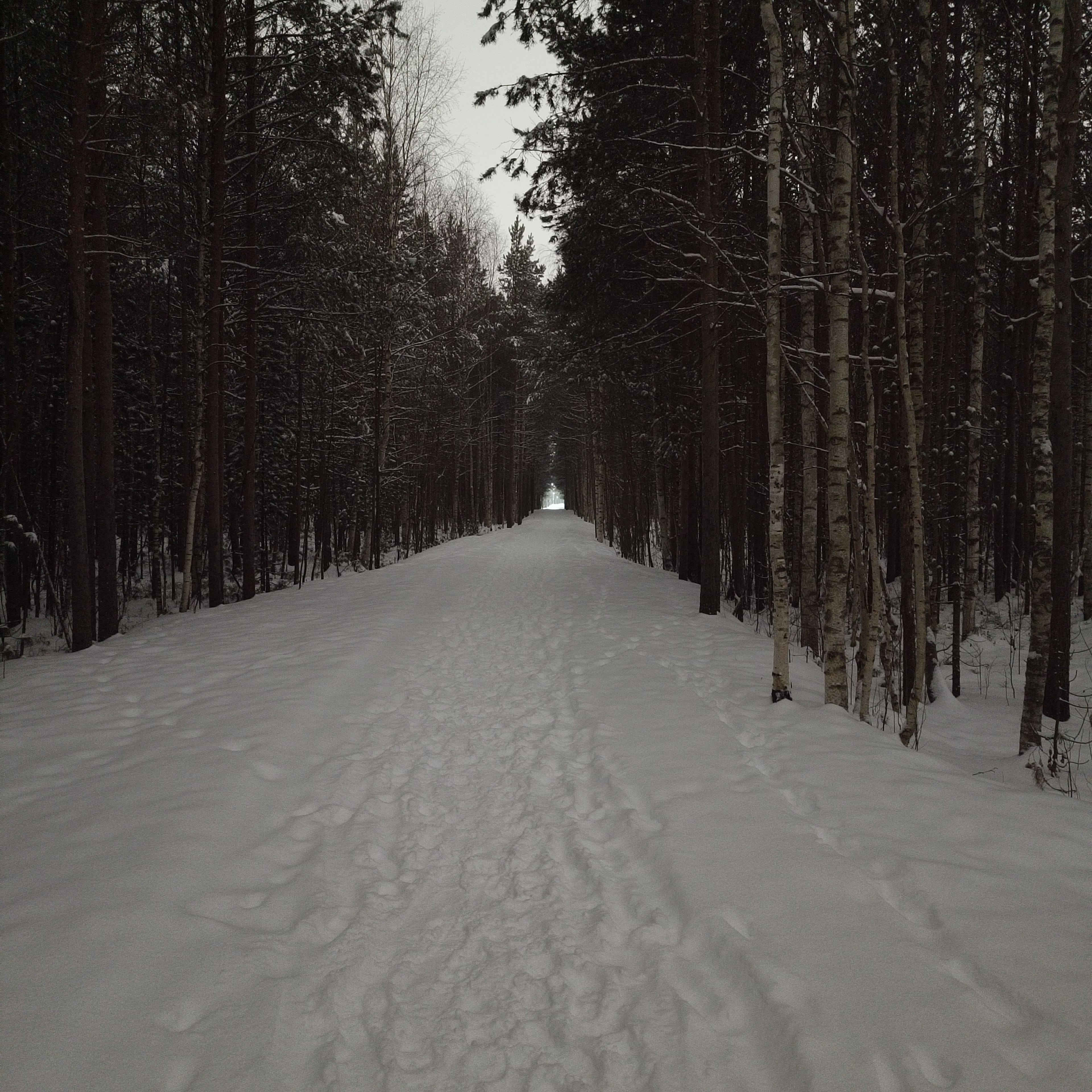 Photo from Surgut: snowy park 10.