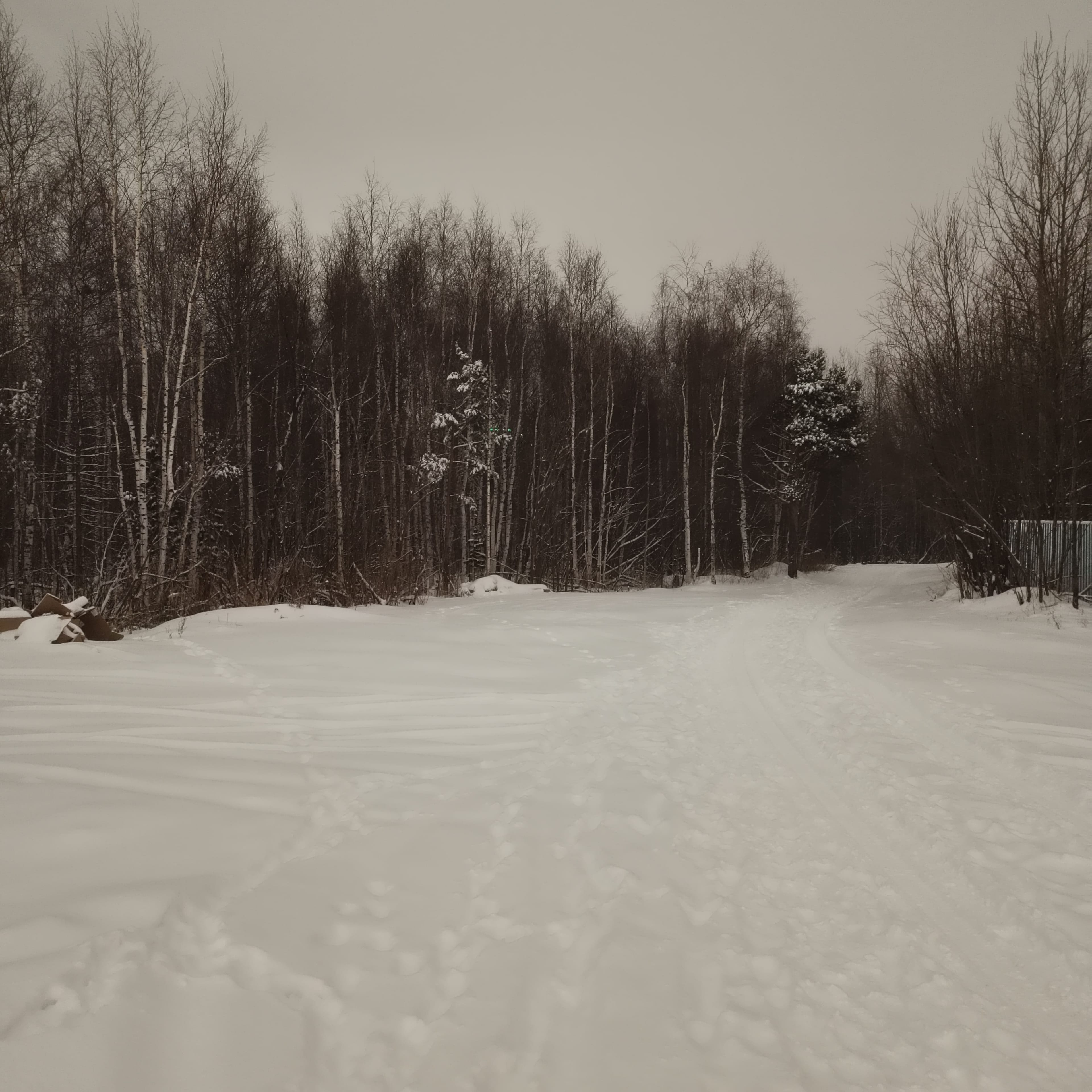 Photo from Surgut: snowy park 11.
