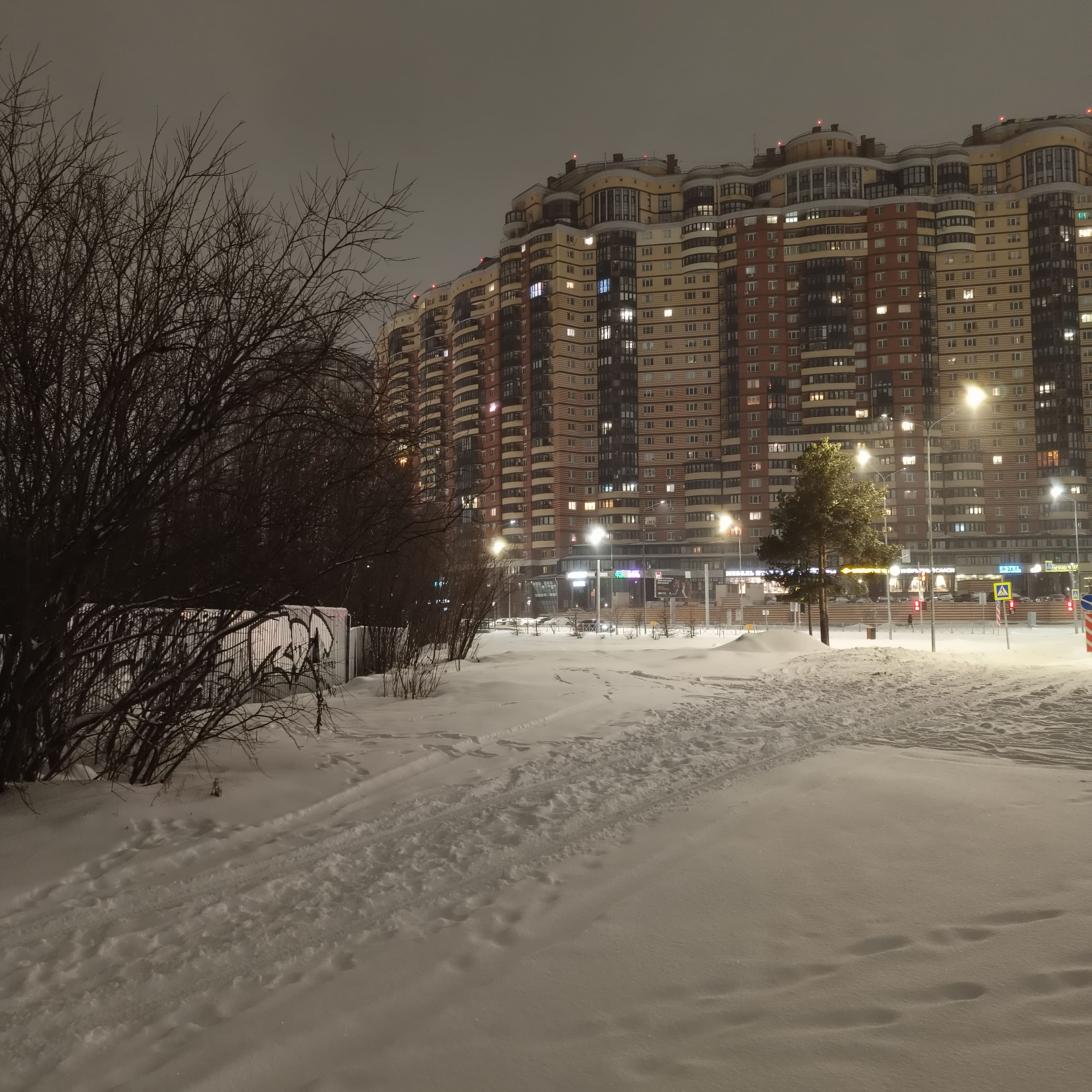 Photo from Surgut: snowy park 12.