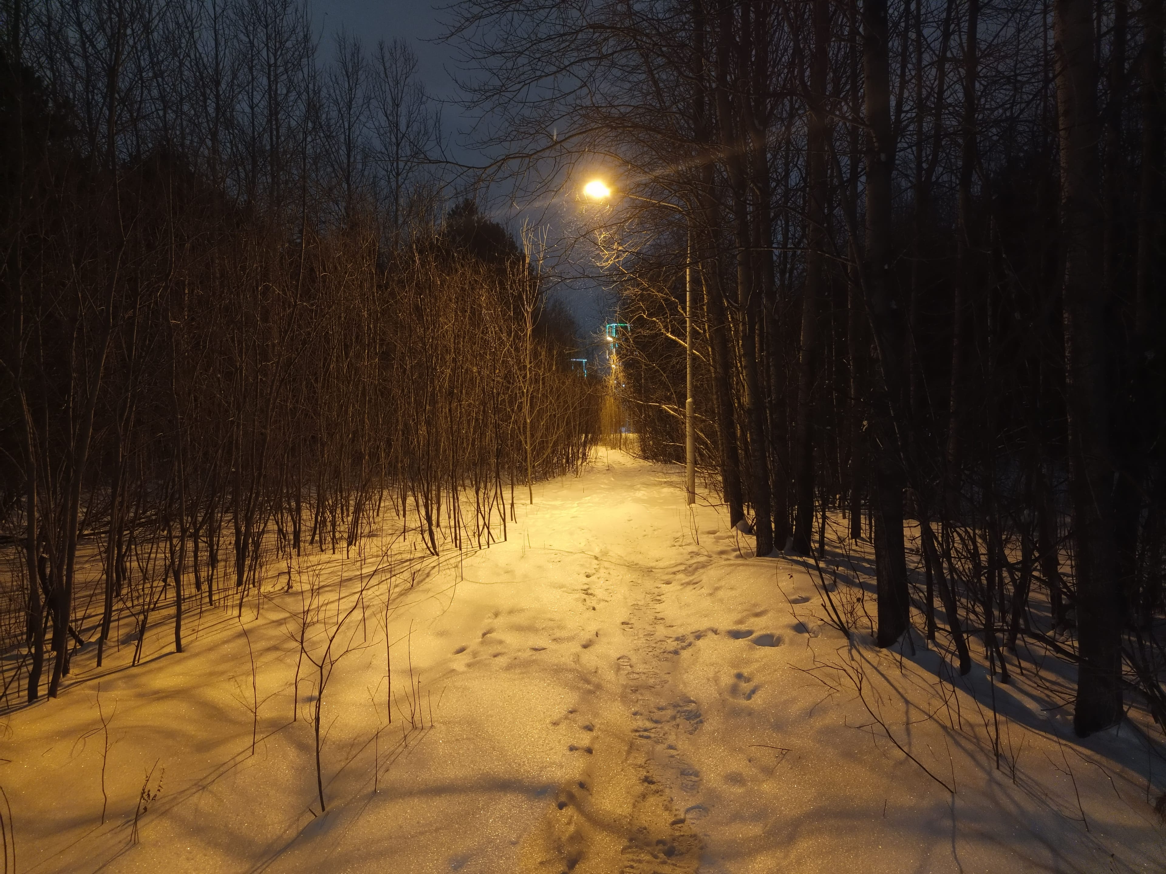 Photo from Surgut: snowy park 13.