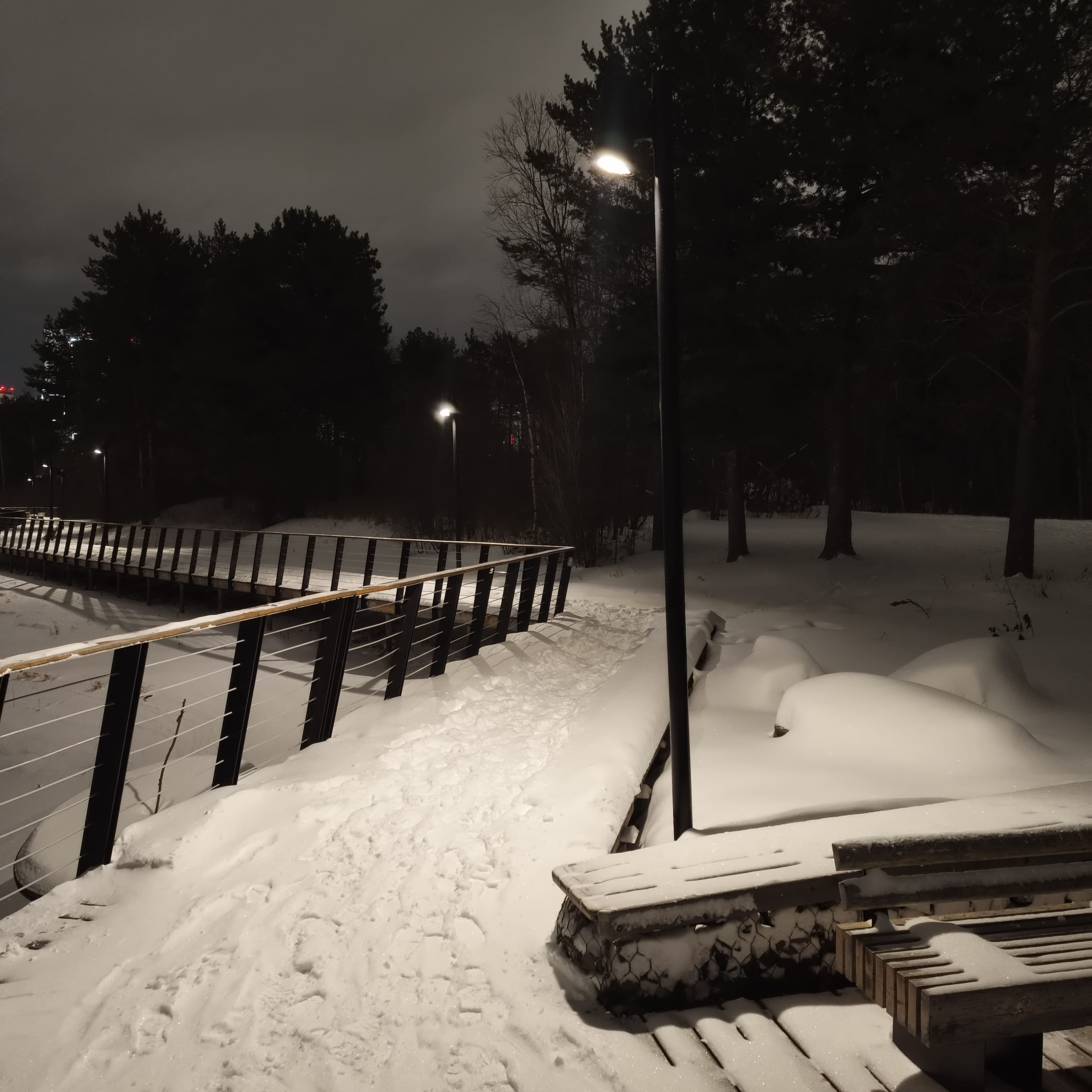 Photo from Surgut: snowy park 14.