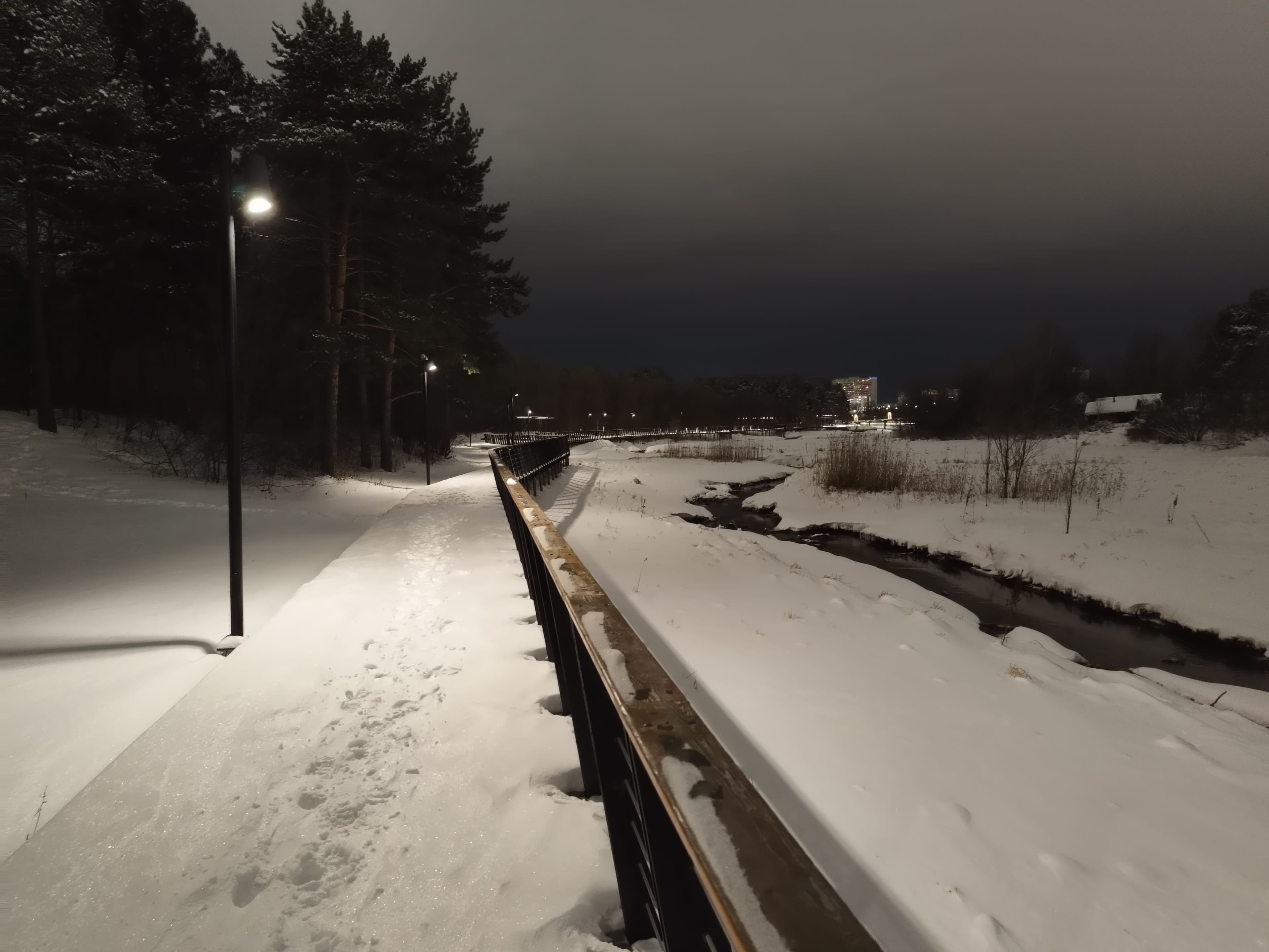 Photo from Surgut: snowy park 15.