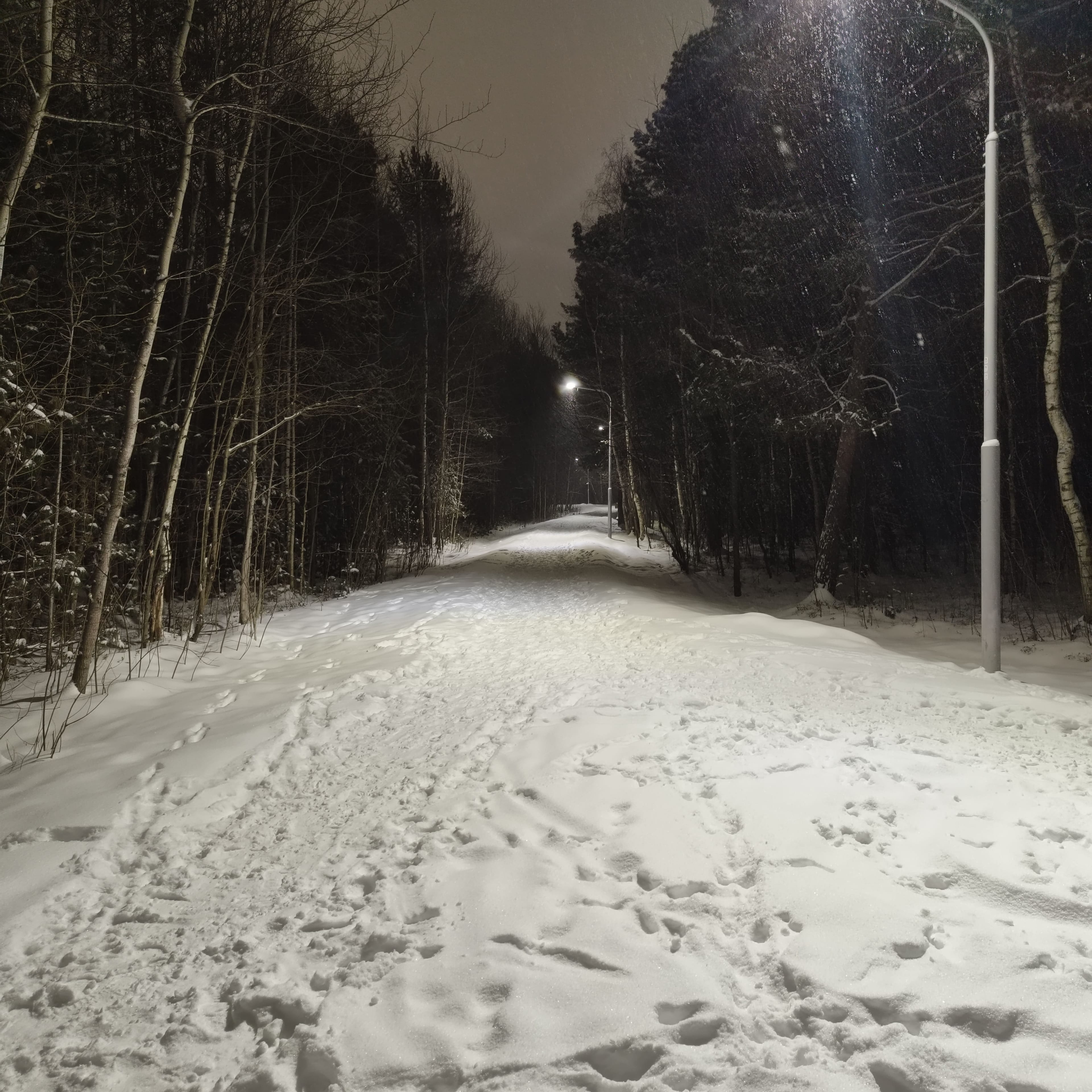 Photo from Surgut: snowy park 2.
