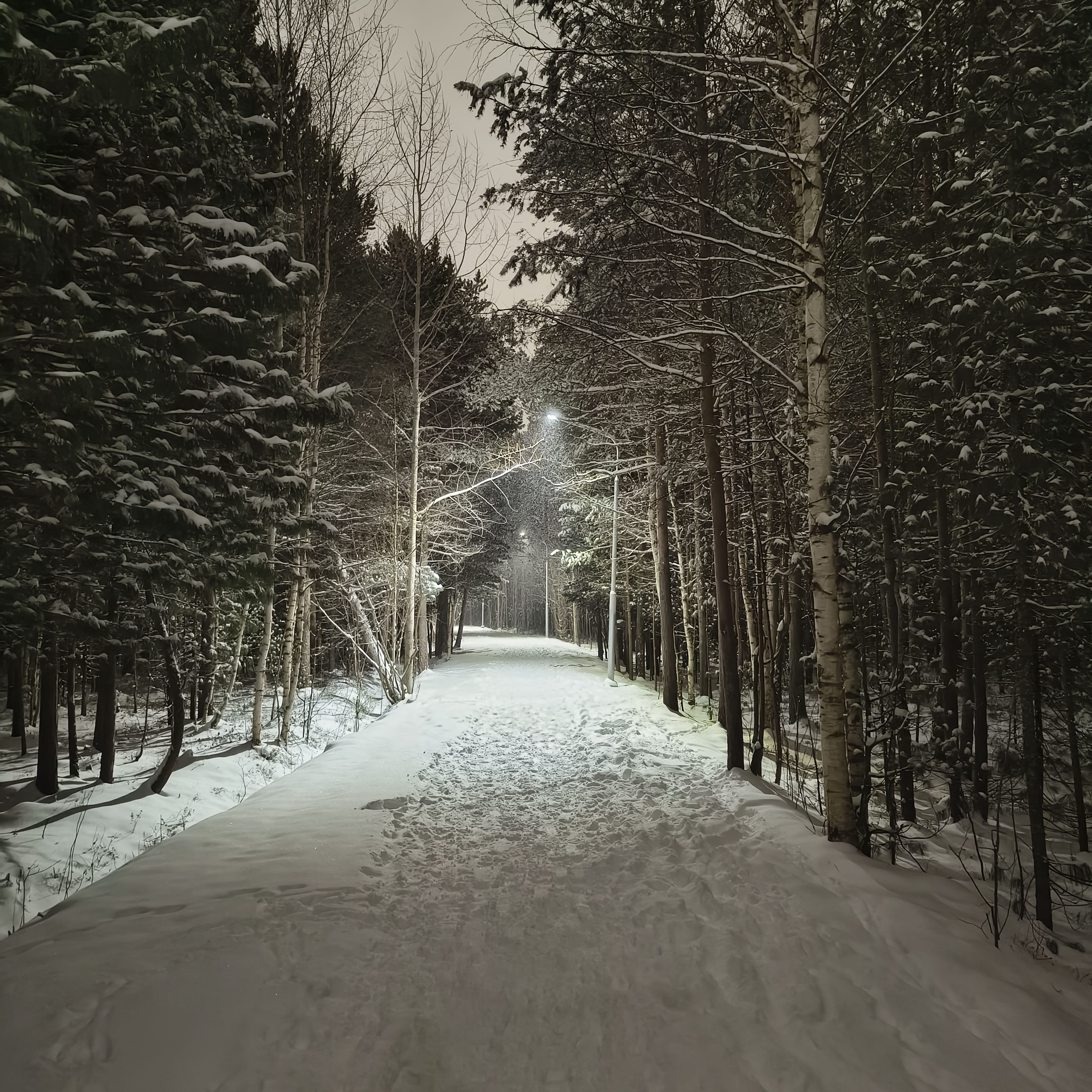 Photo from Surgut: snowy park 6.
