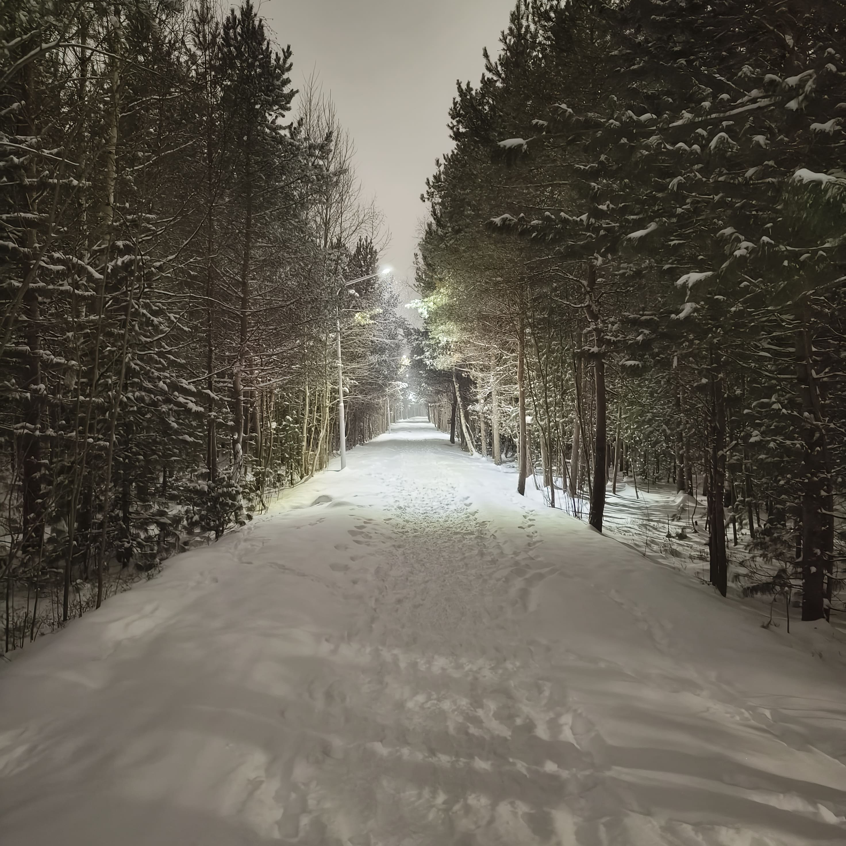 Photo from Surgut: snowy park 7.