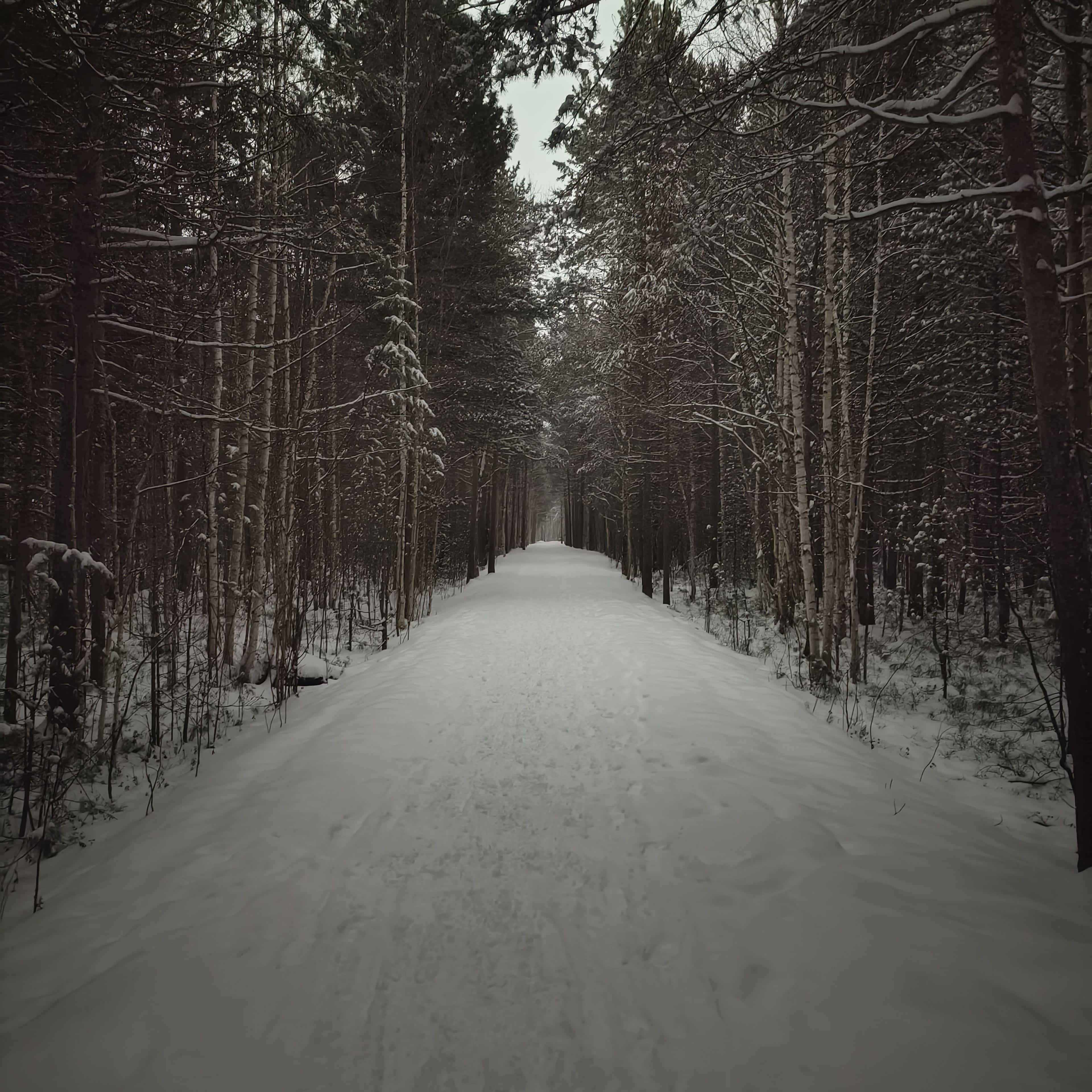 Photo from Surgut: snowy park 9.
