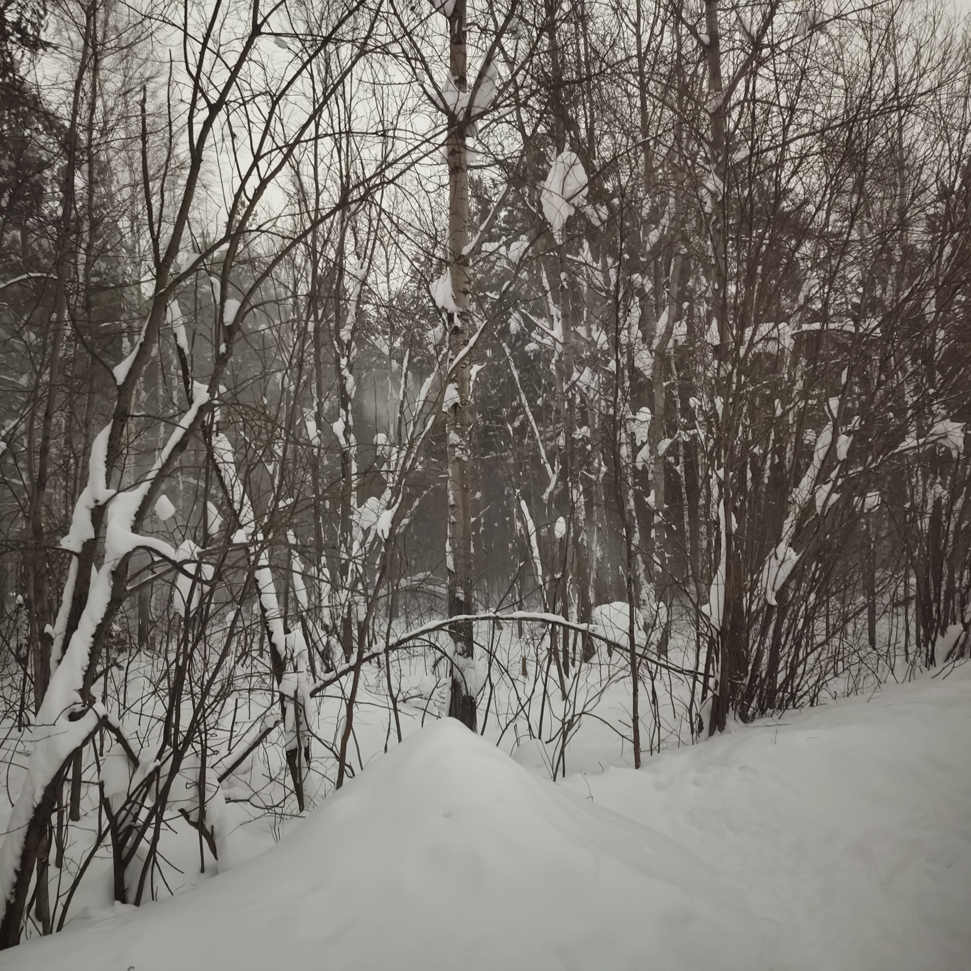 Photo from Surgut: windy 1.