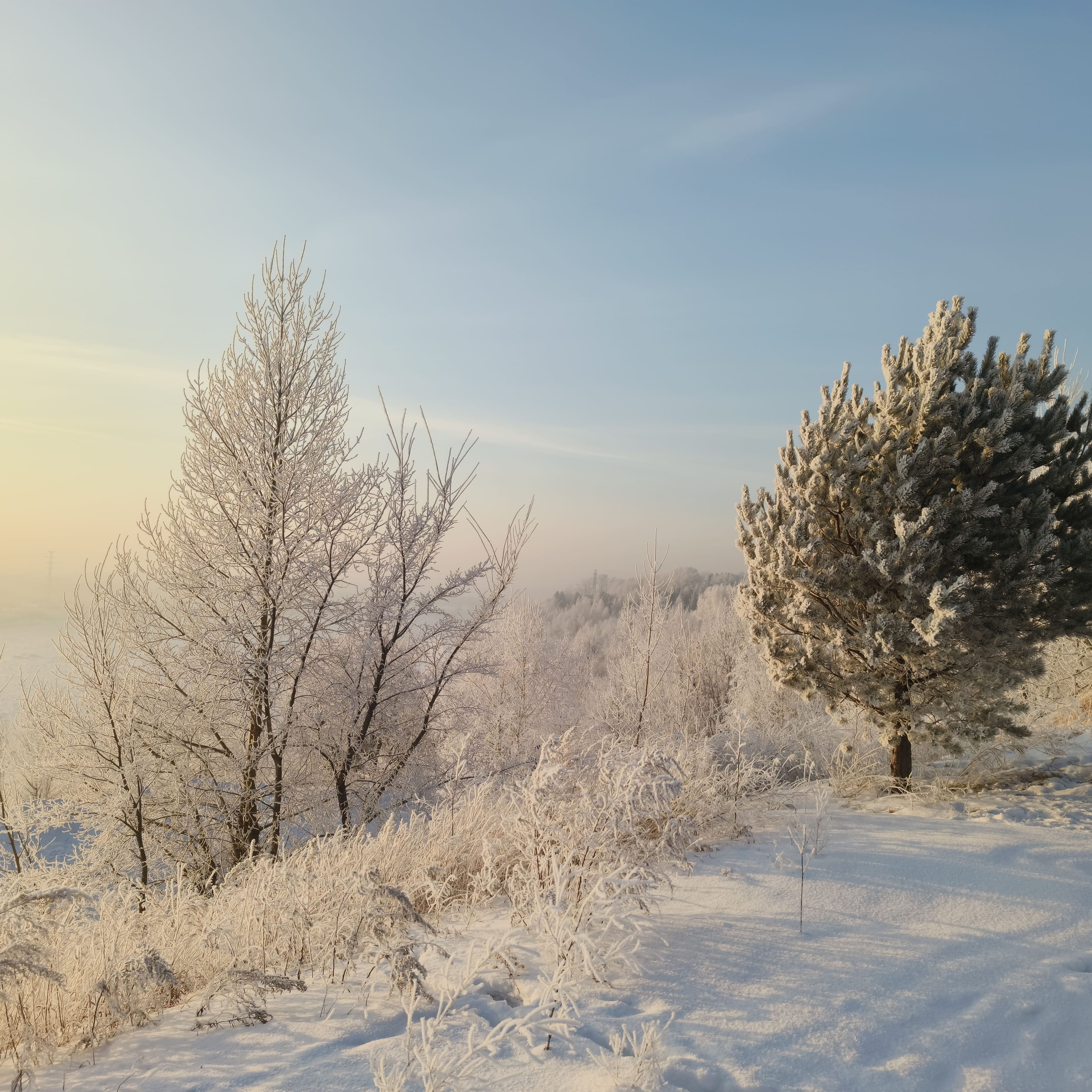 Photo from Tomsk: snowy 1.
