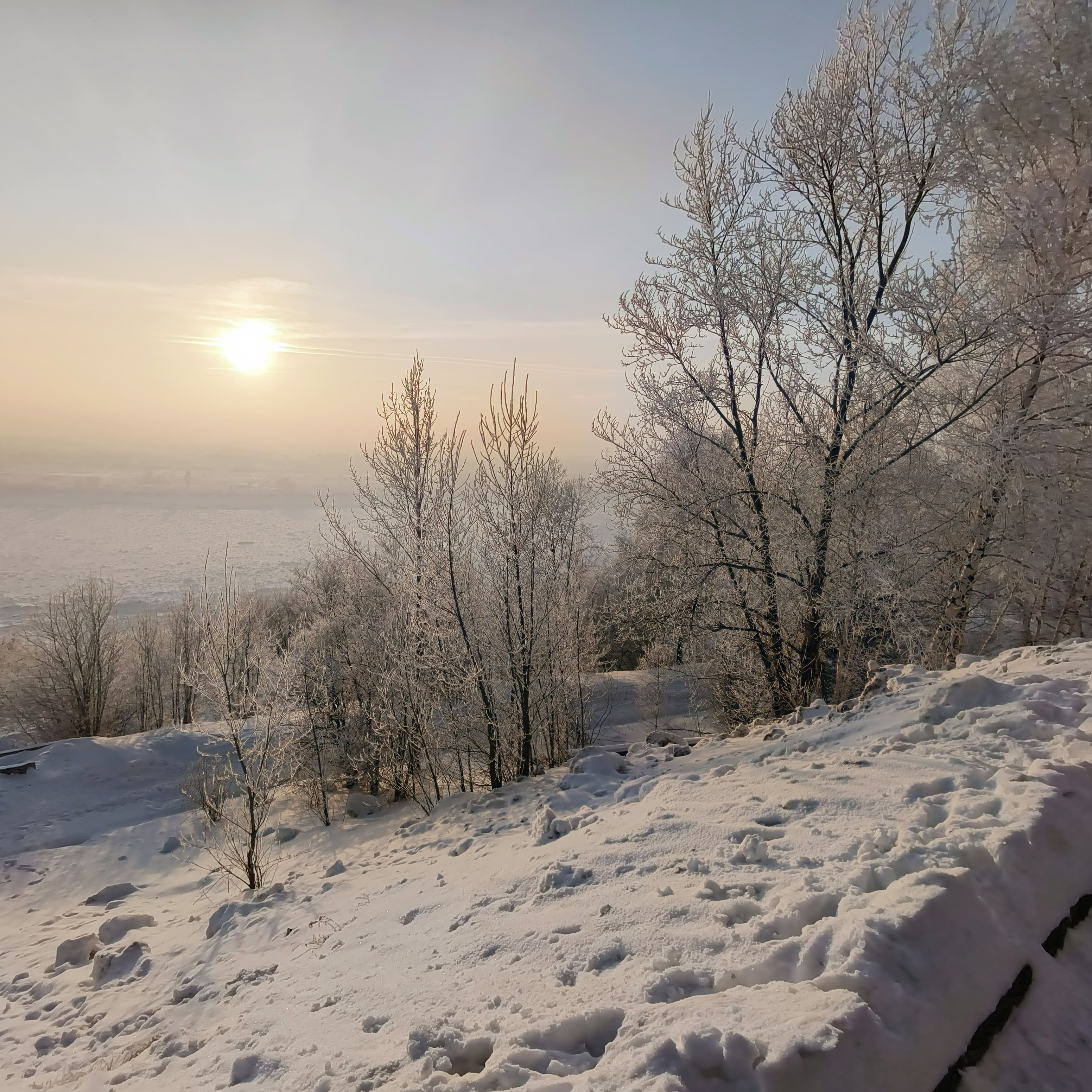 Photo from Tomsk: snowy 3.